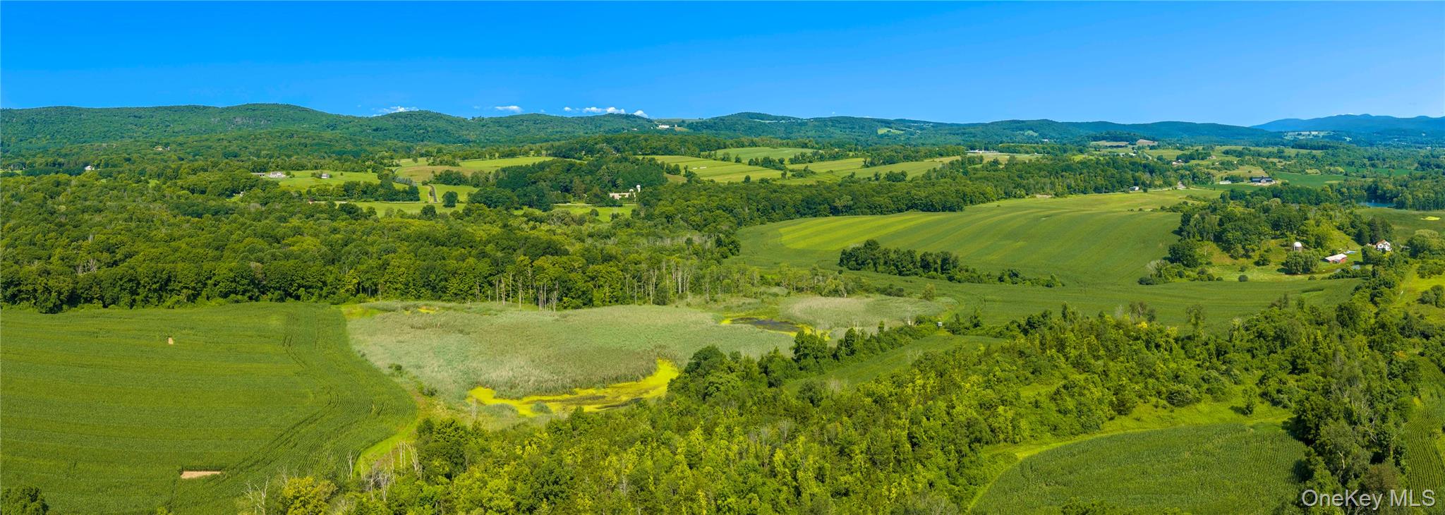 5246 Route 22 Property Photo 7