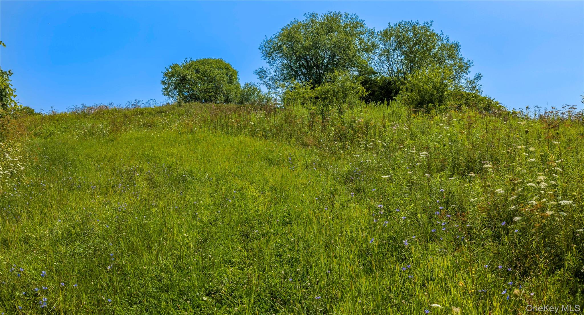 5246 Route 22 Property Photo 10