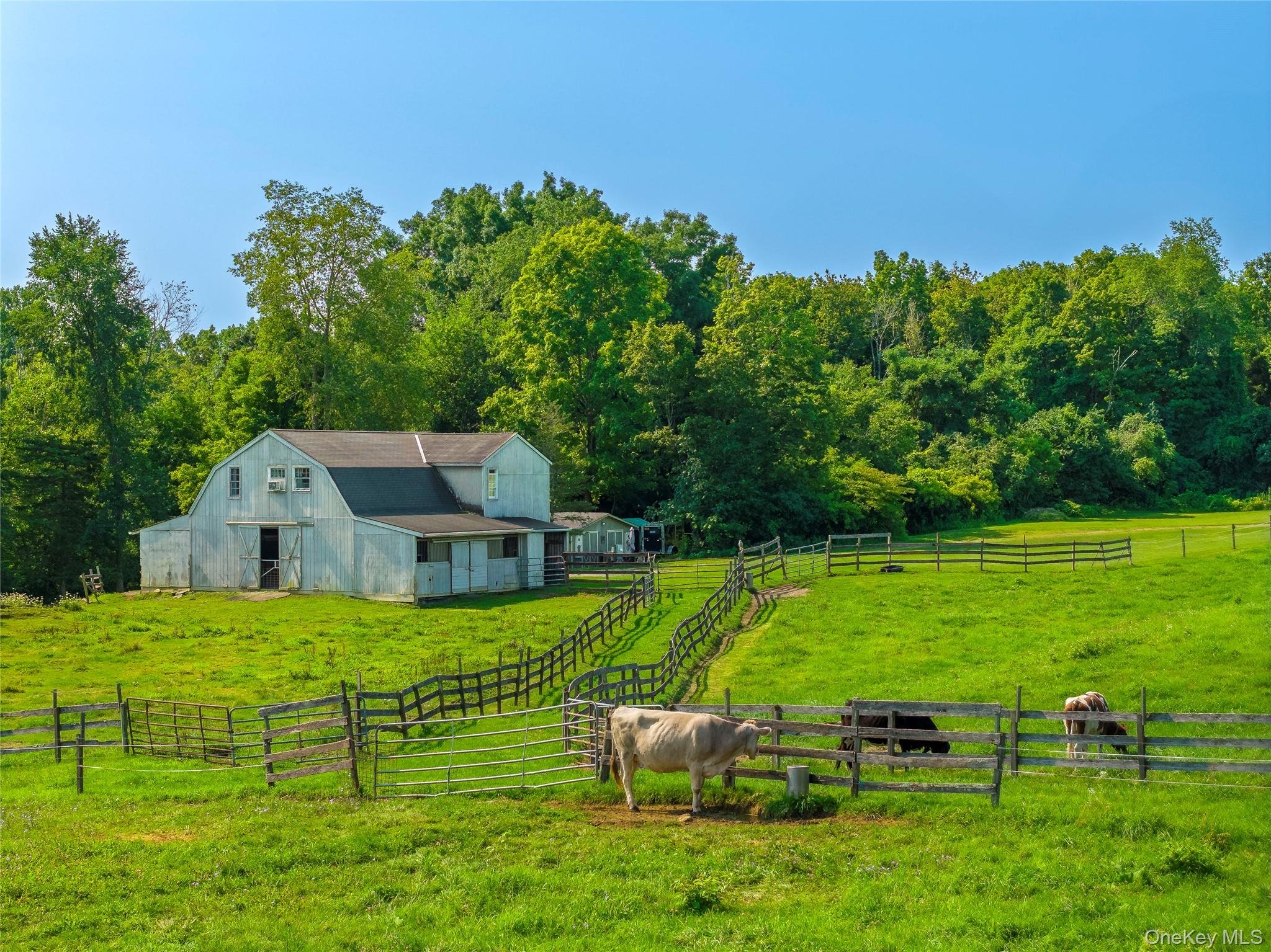 5246 Route 22 Property Photo 14