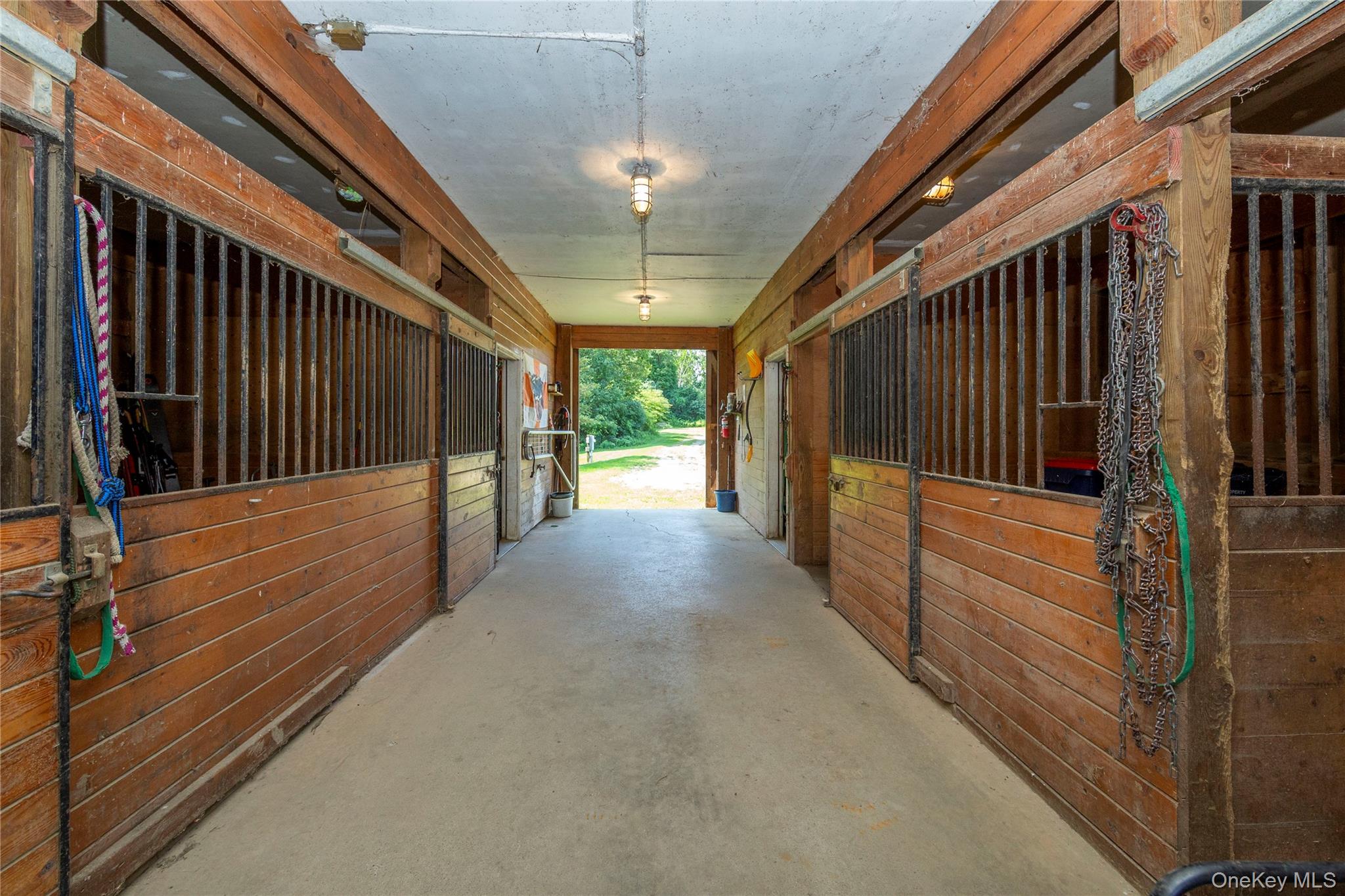 5246 Route 22 Property Photo 17