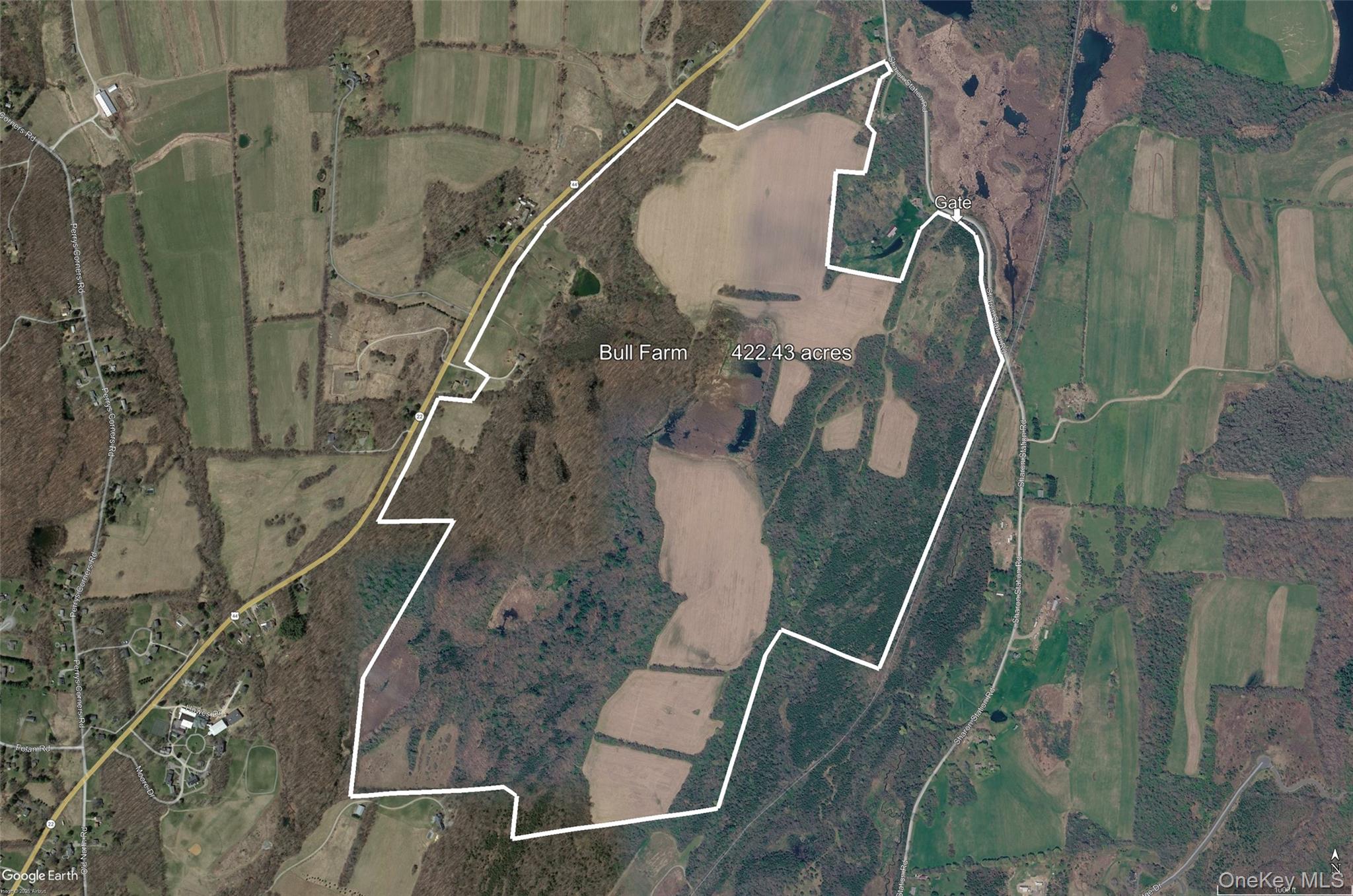 5246 Route 22 Property Photo 28