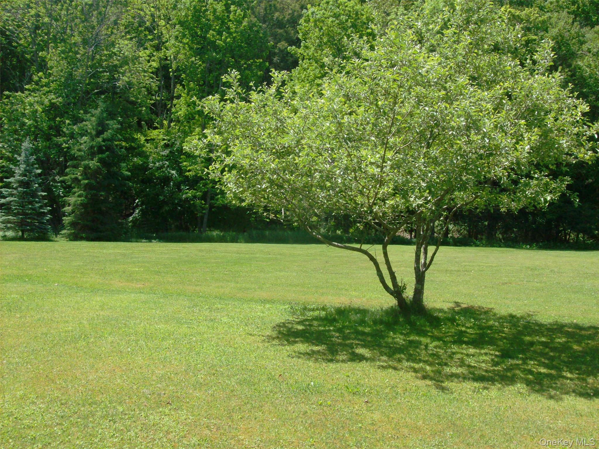 5 Riverside Drive Property Photo 24