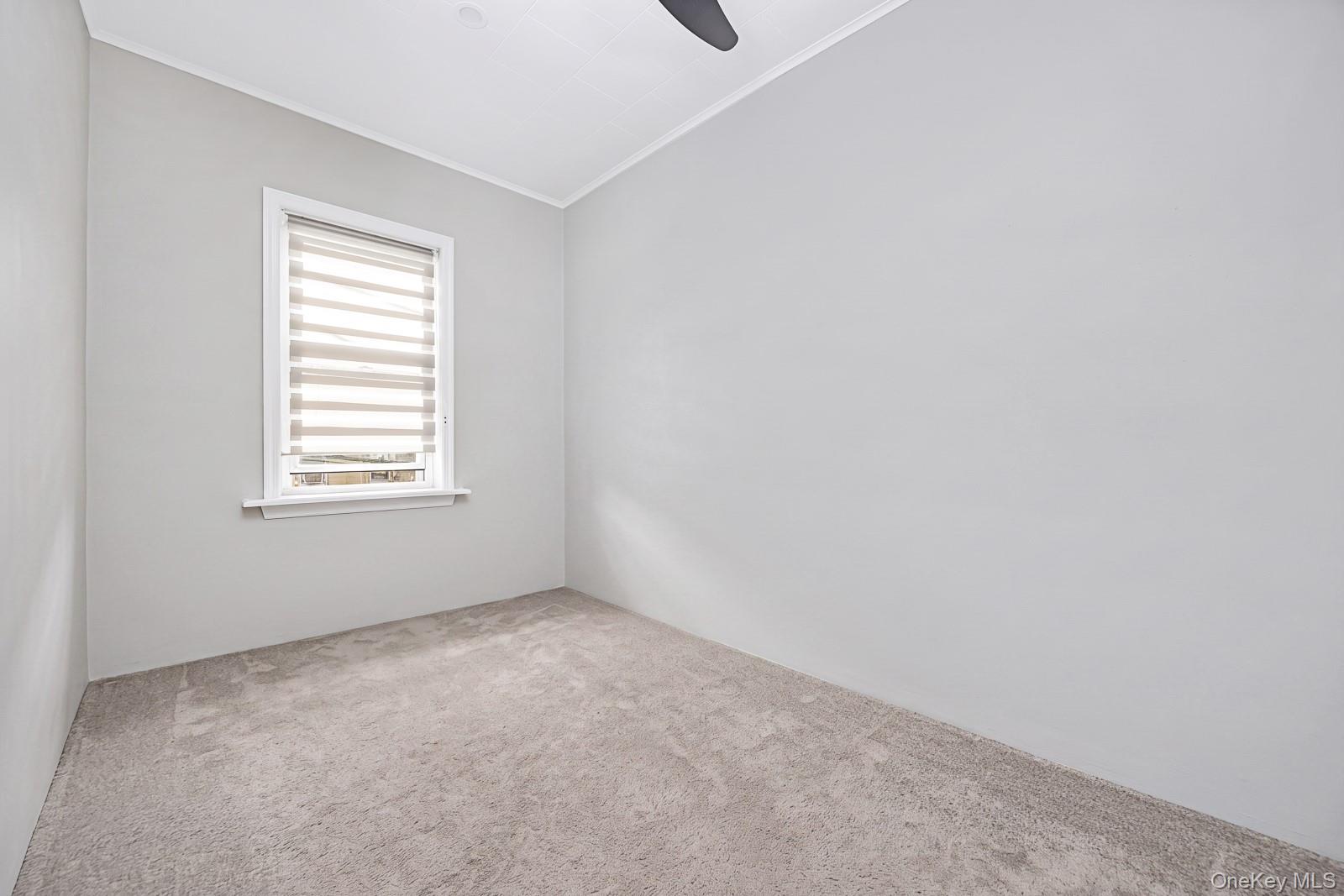56-23 61st Street Property Photo 18