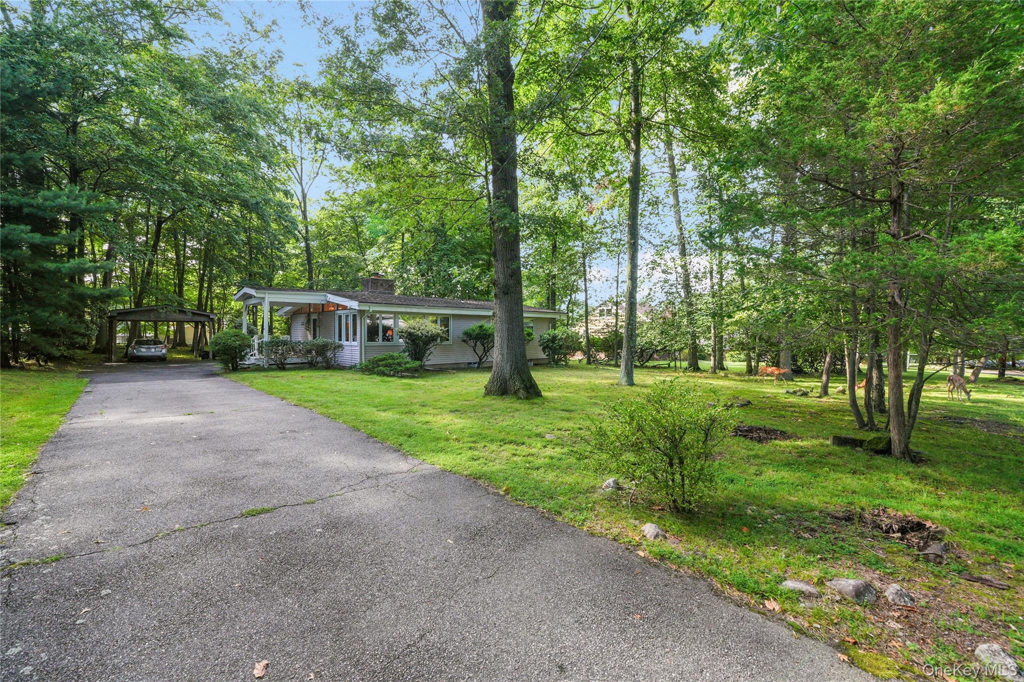 29 Fay Road Property Photo 34