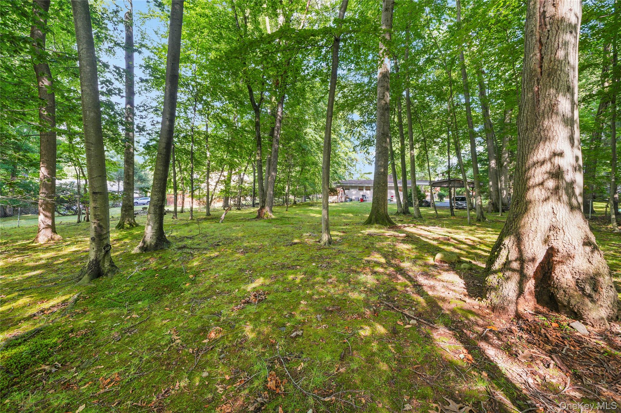 29 Fay Road Property Photo 37