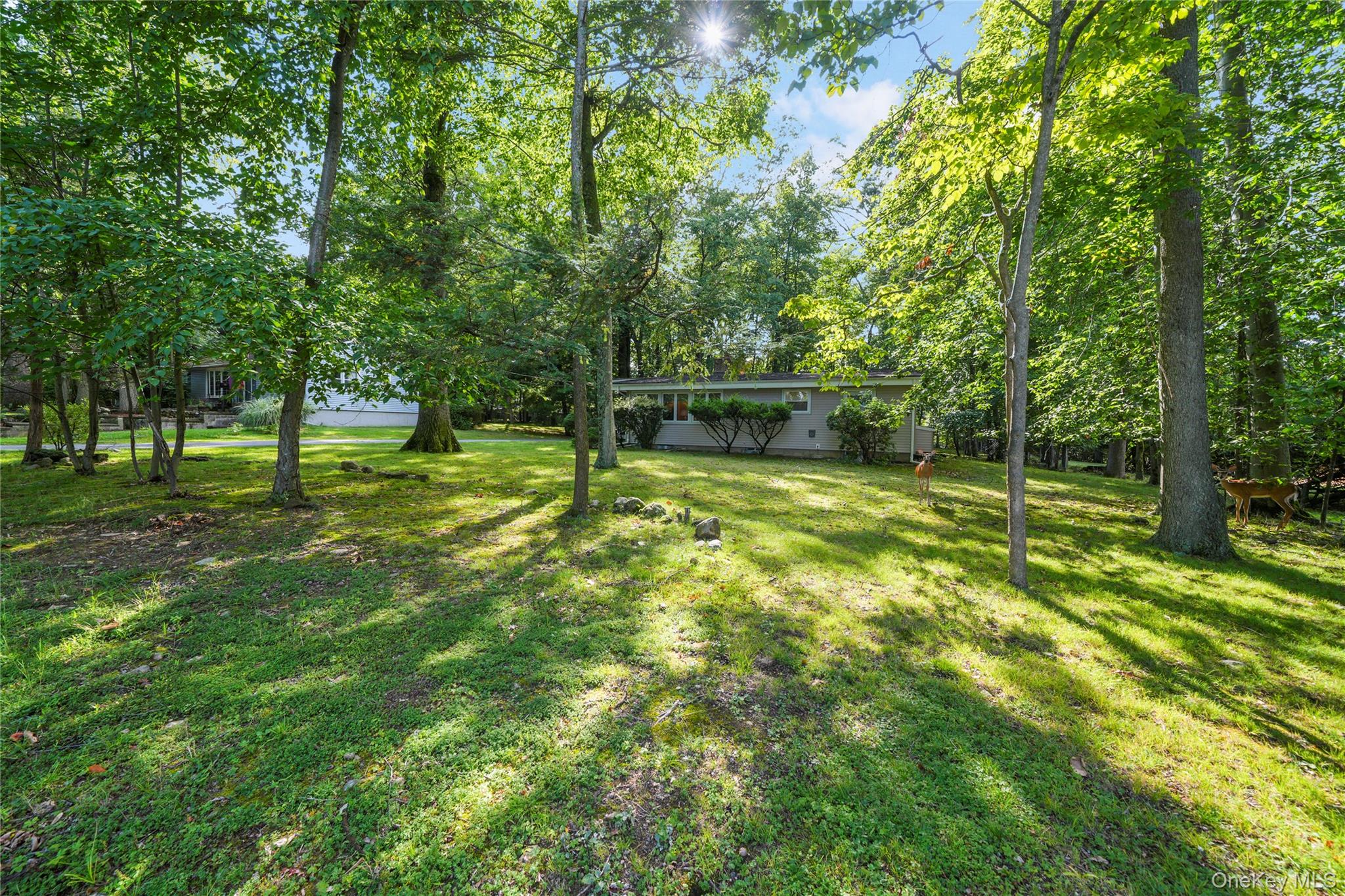 29 Fay Road Property Photo 38