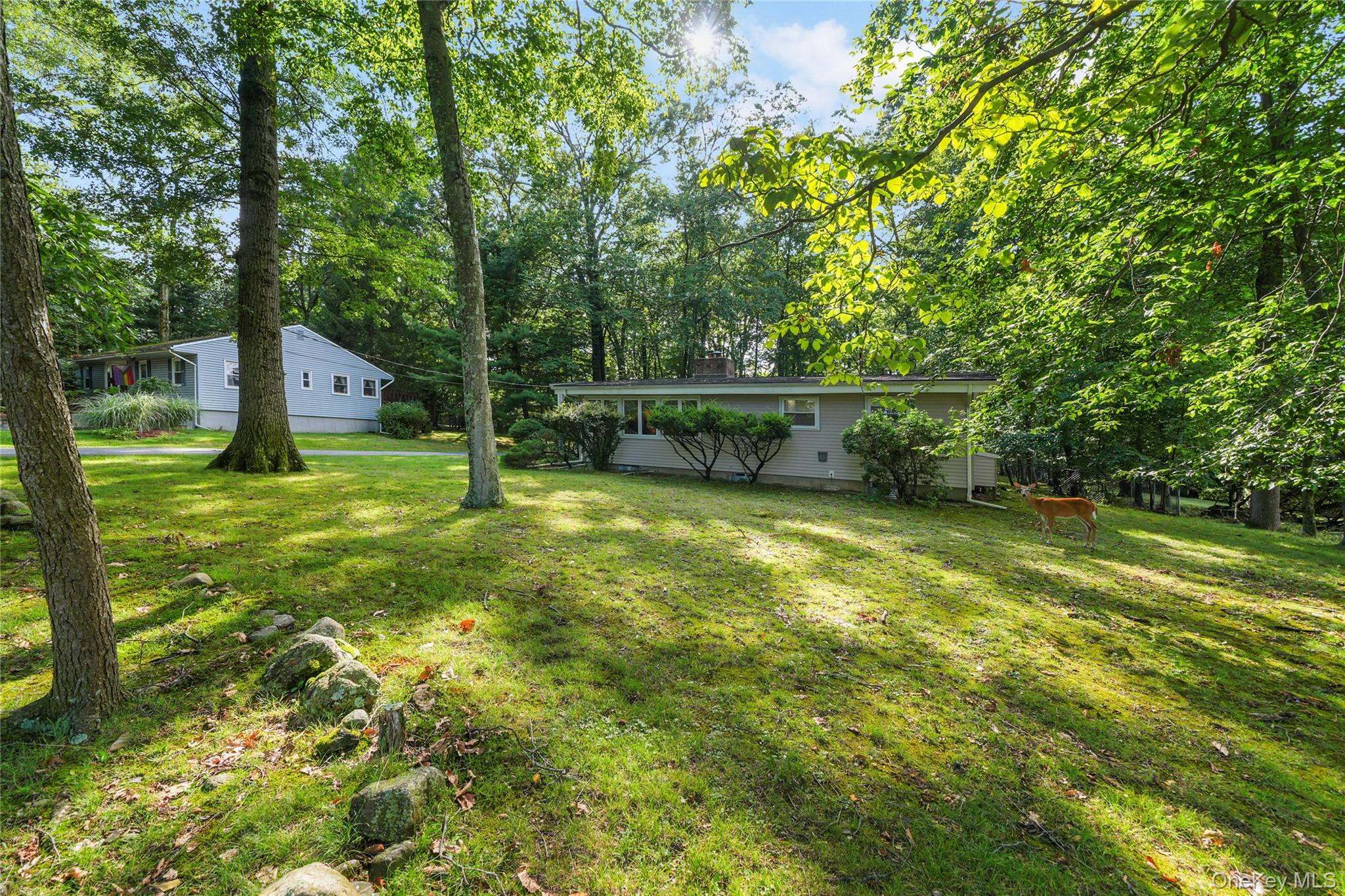 29 Fay Road Property Photo 39