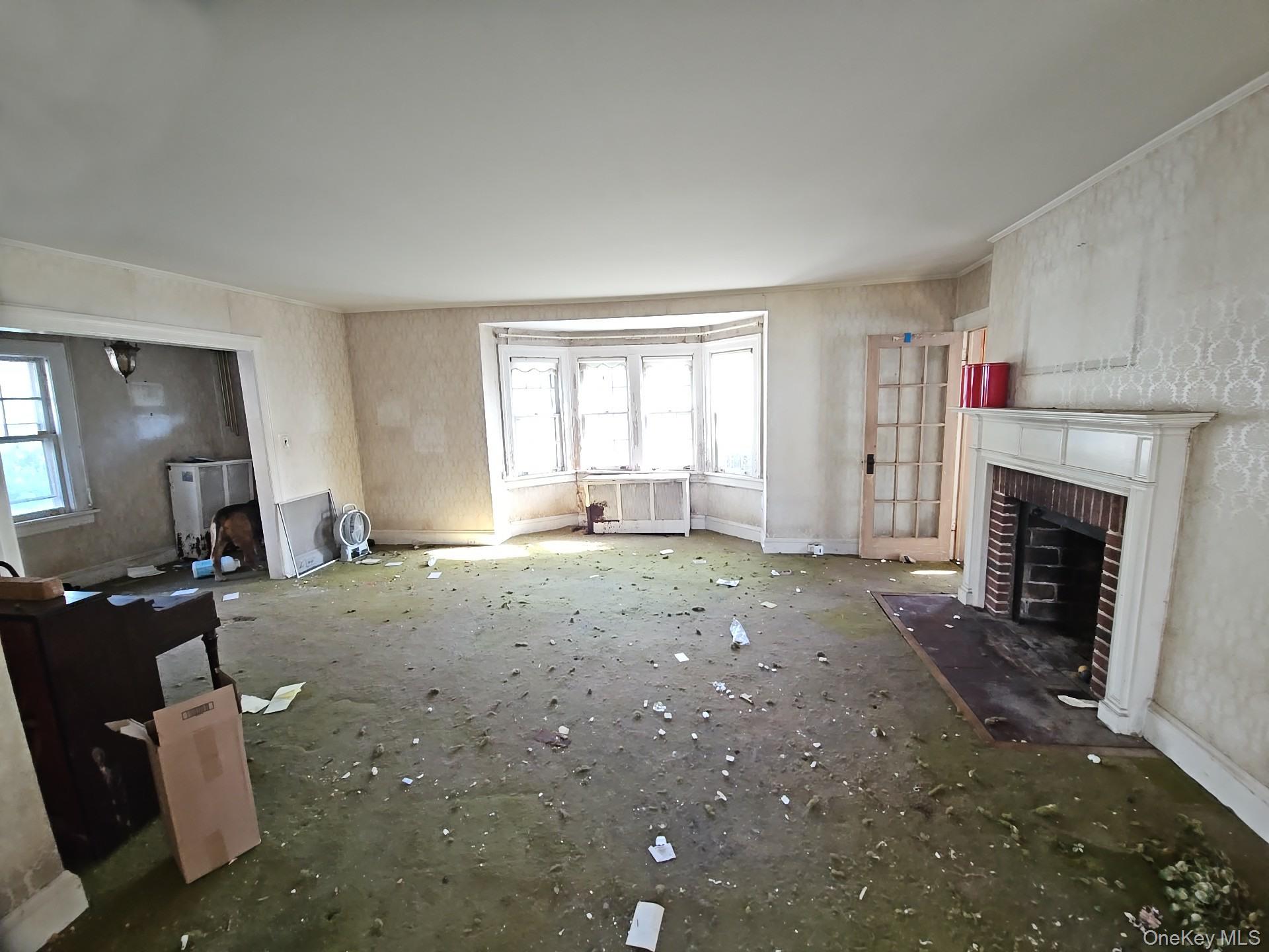 29 Marshall Road Property Photo 17