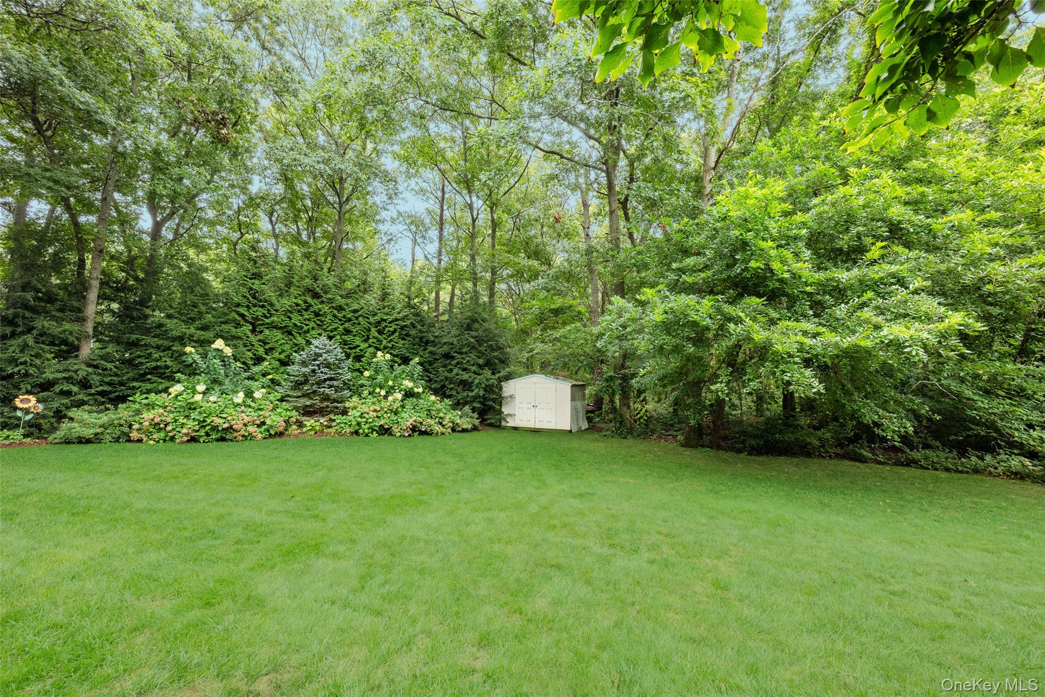 116 Head Of The Neck Road Property Photo 37