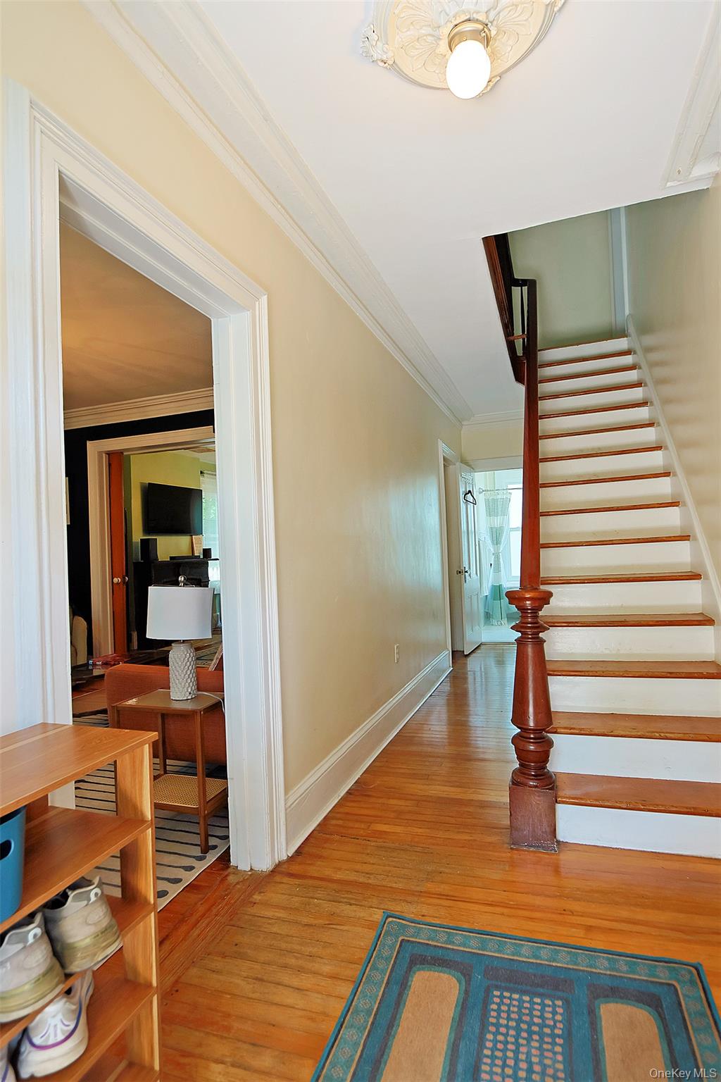 16 Elm Street Property Photo 20