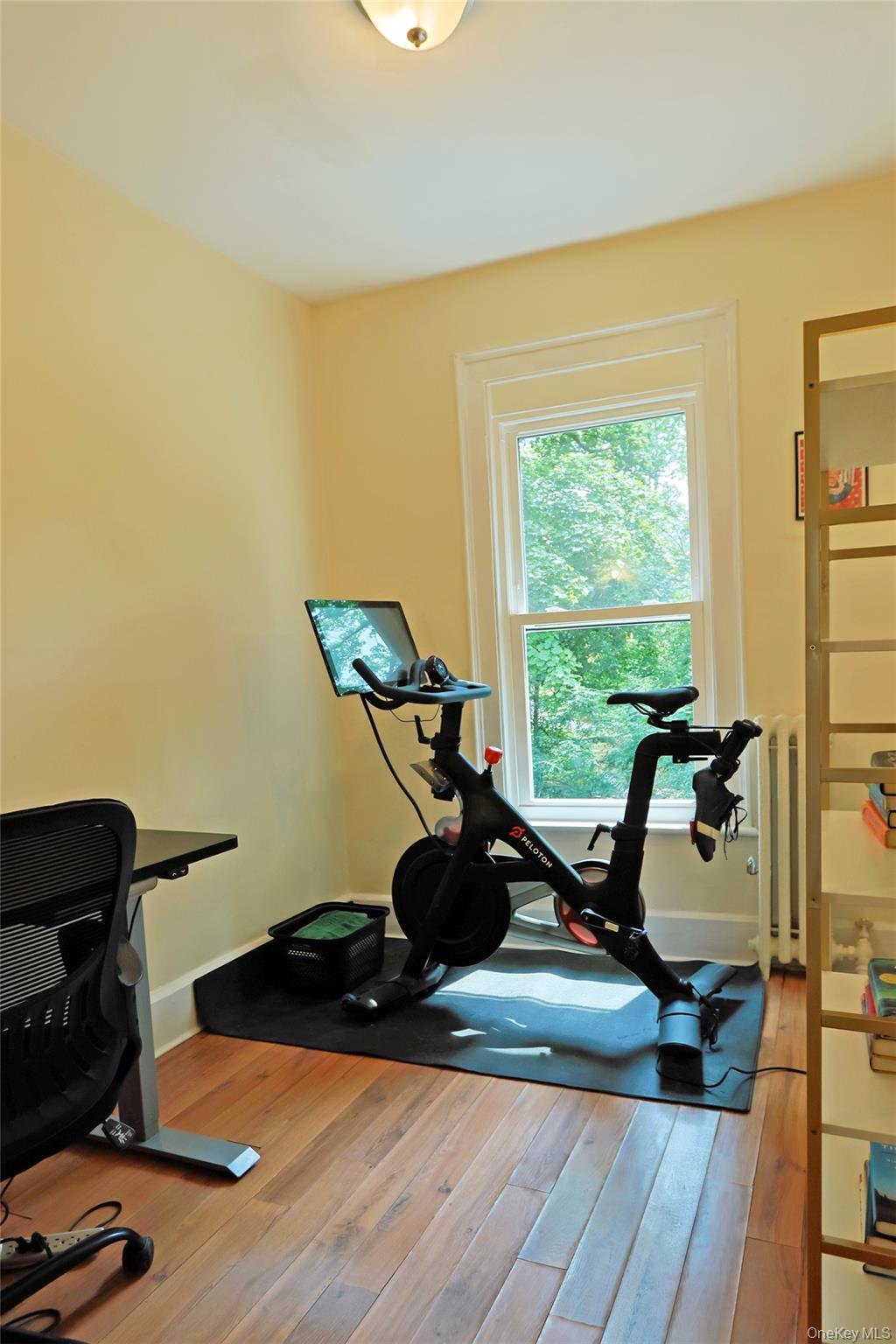 16 Elm Street Property Photo 26