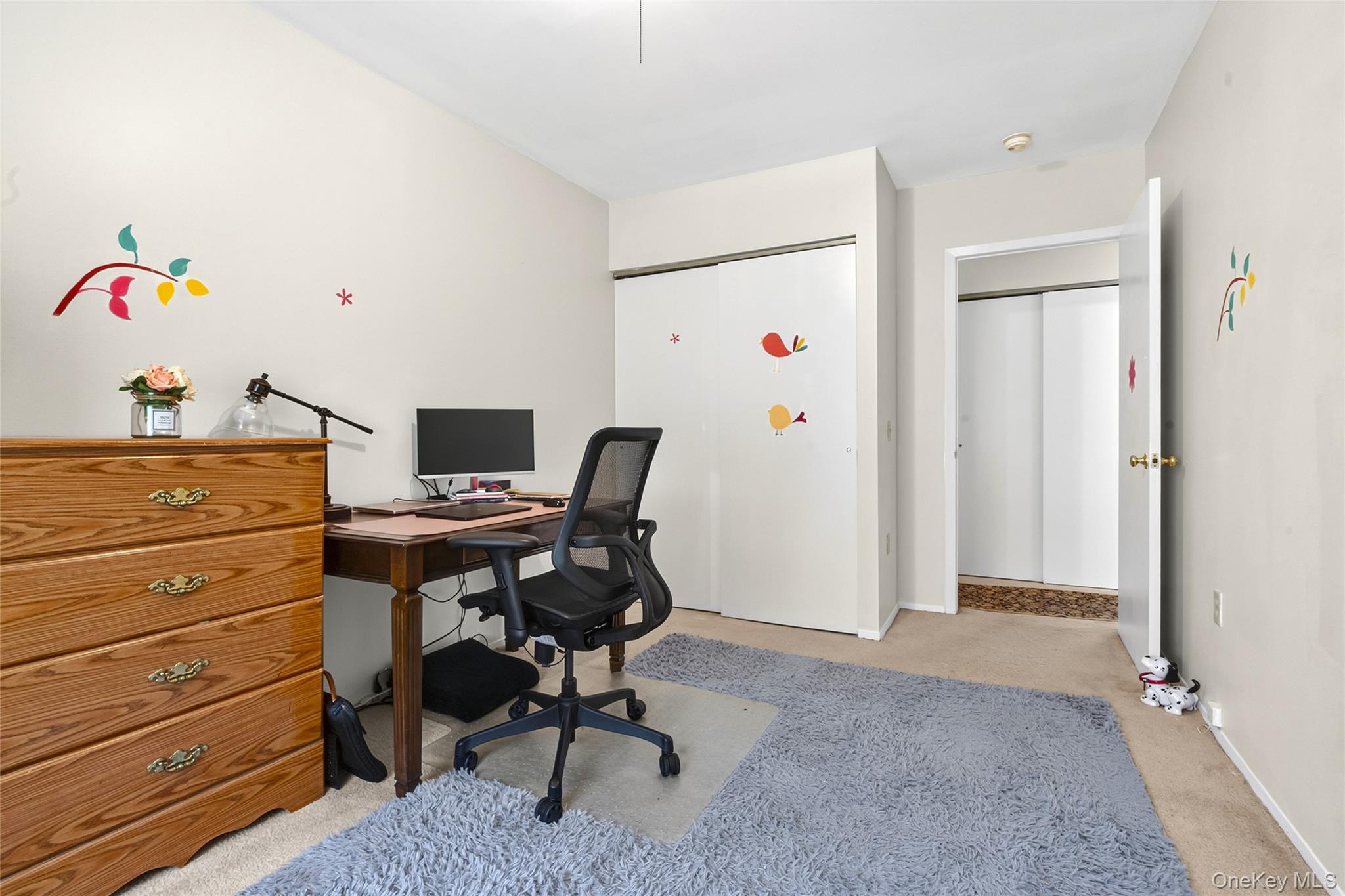 343 Hinsdale Street Property Photo 14