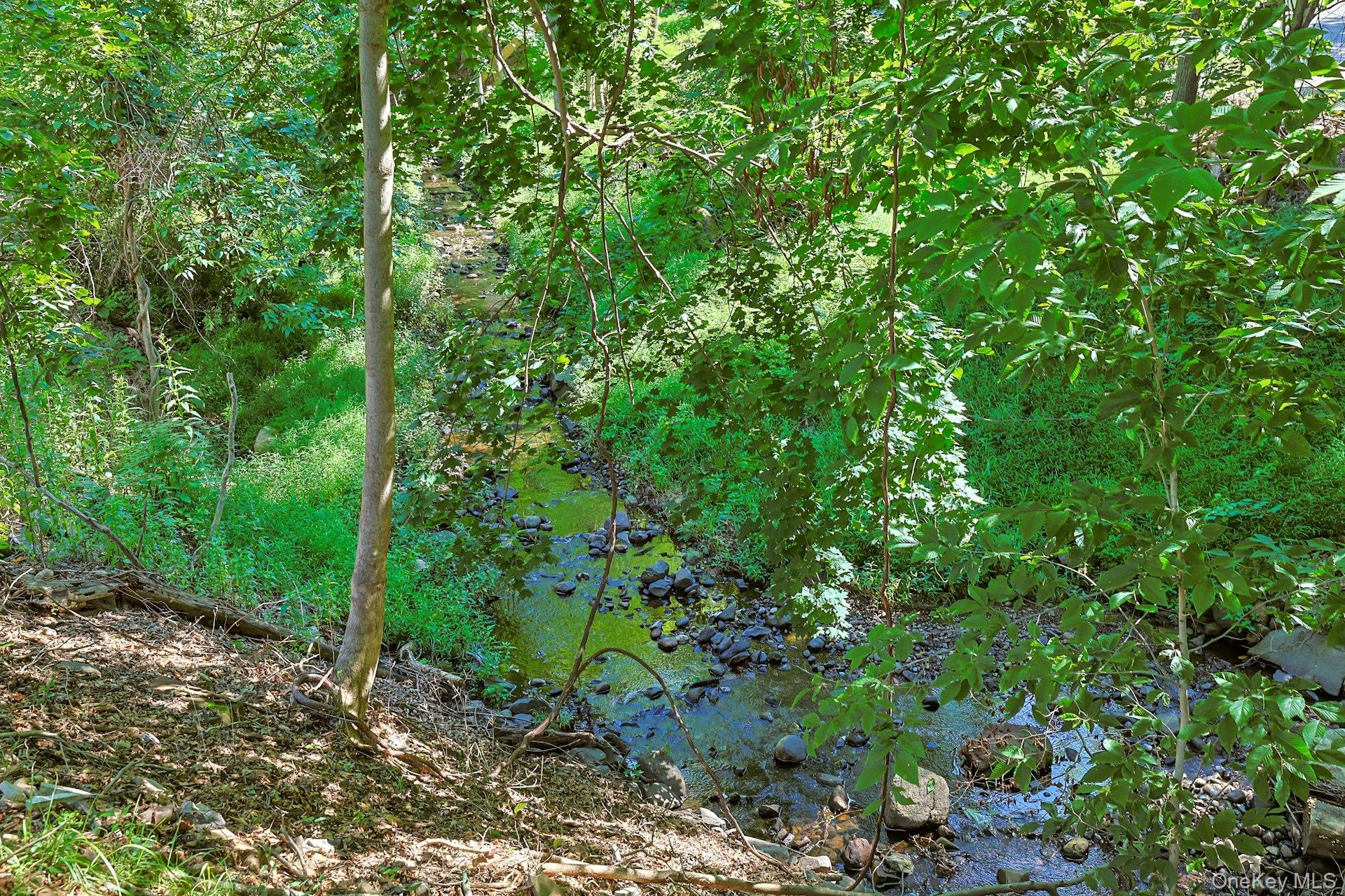 556 Babbling Brook Lane Property Photo 47