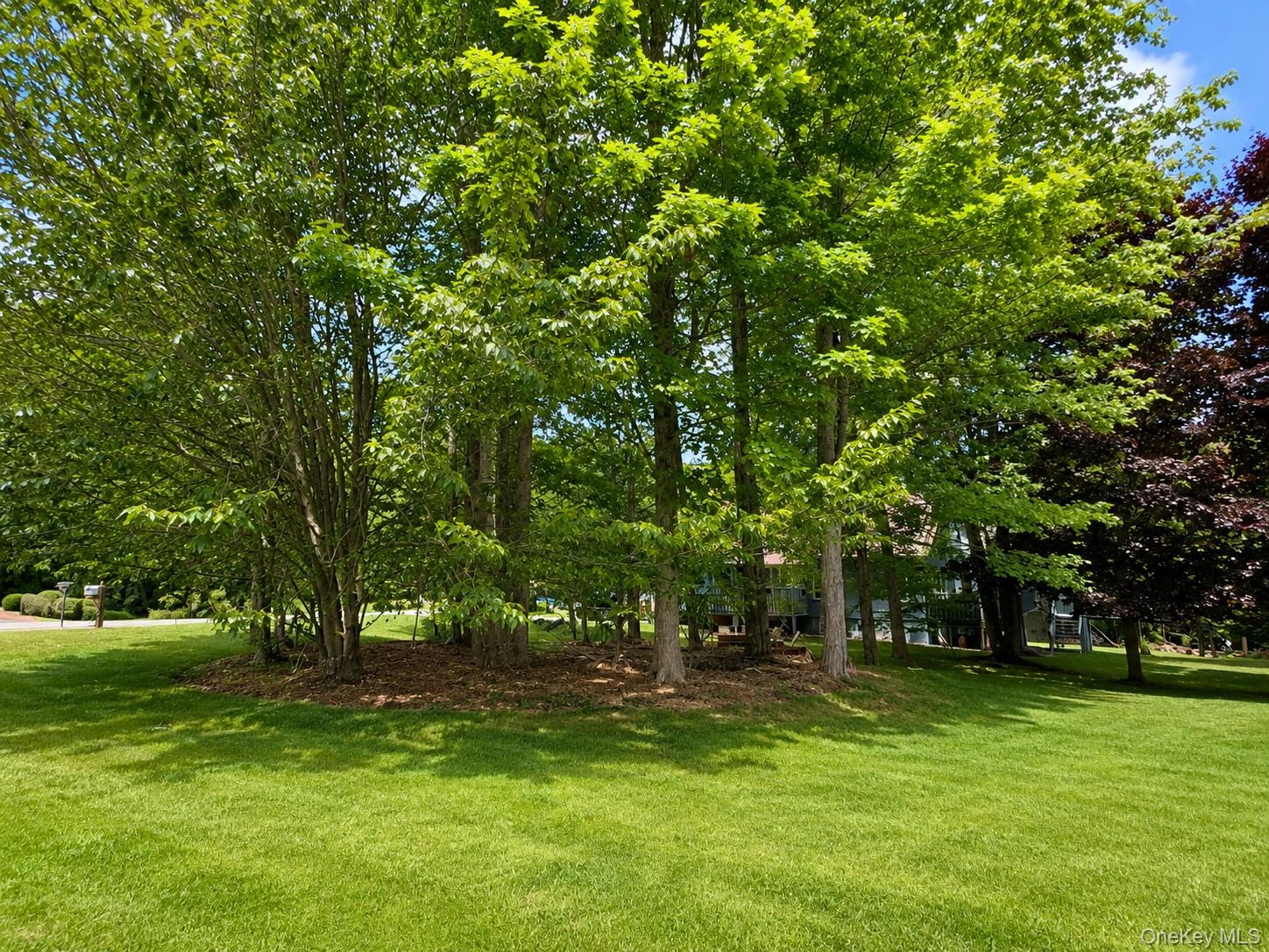 0 Timber Hill Lane Property Photo 1