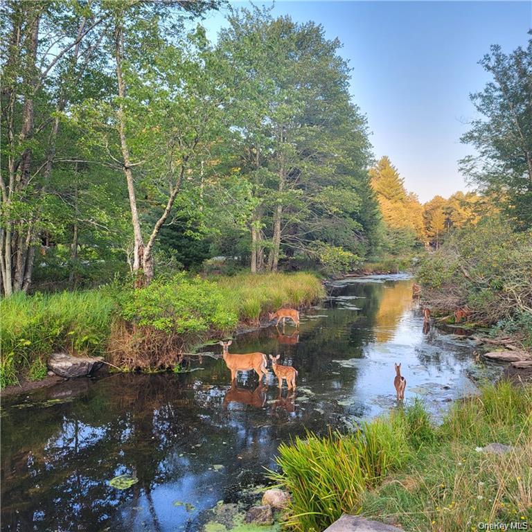 198 Pine Grove Road Property Photo 30