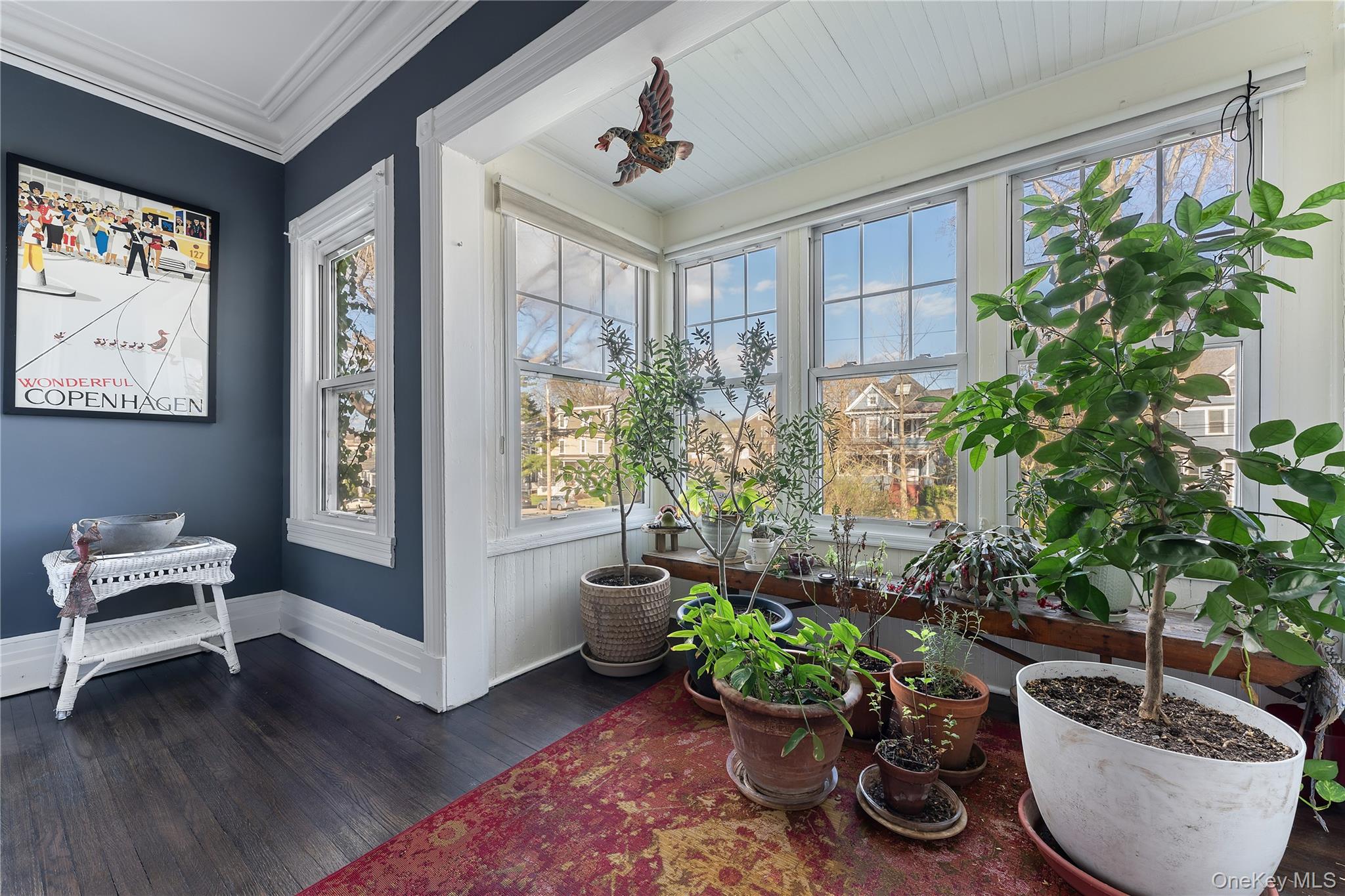 28 Hamilton Avenue Property Photo 20