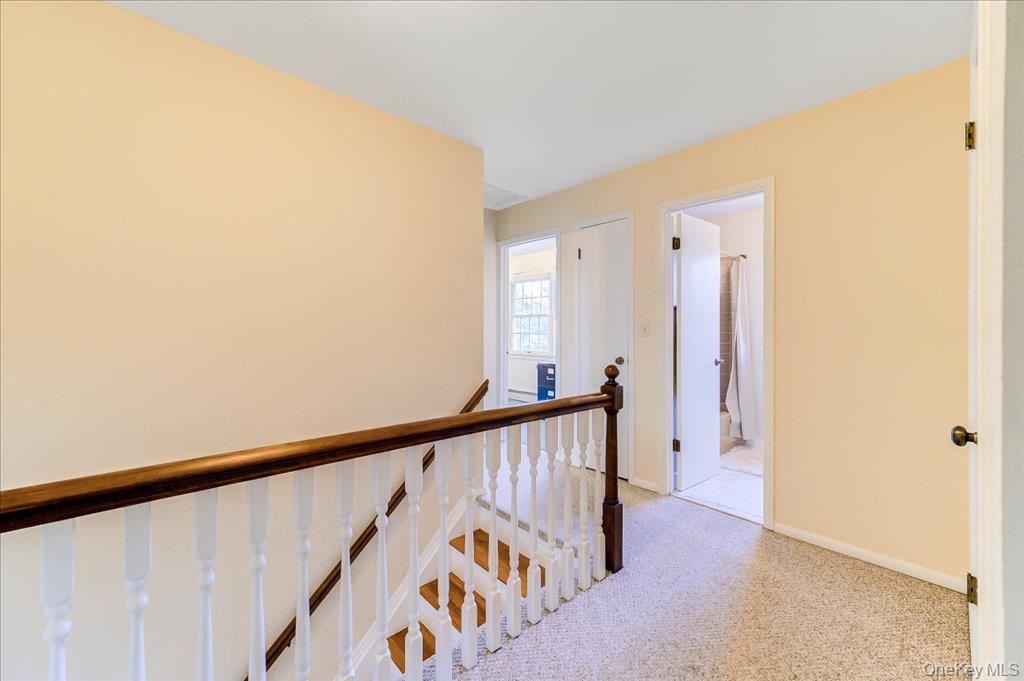 207 Butter Hill Drive Property Photo 4