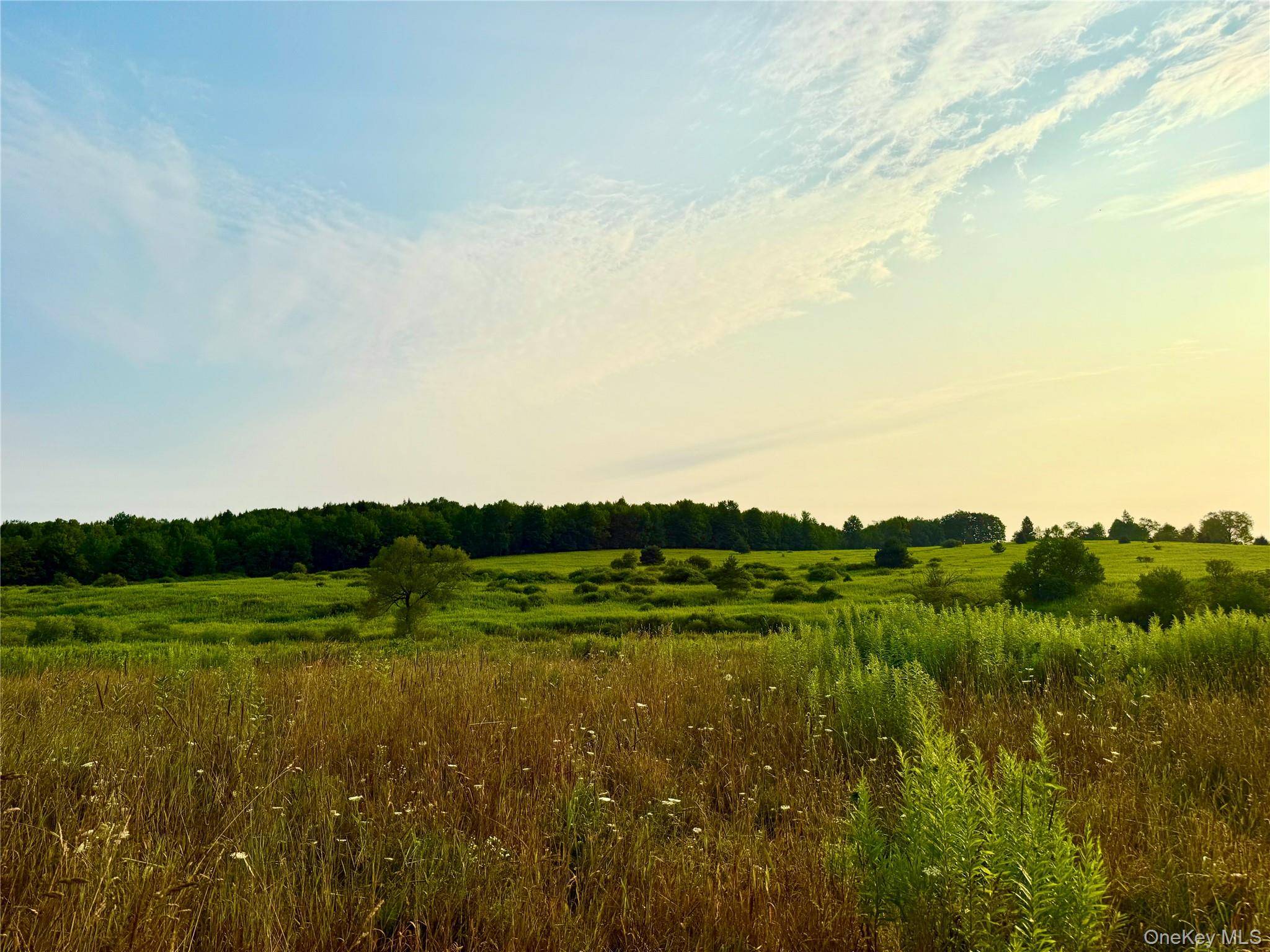 299 Walt Phillips Property Photo 5