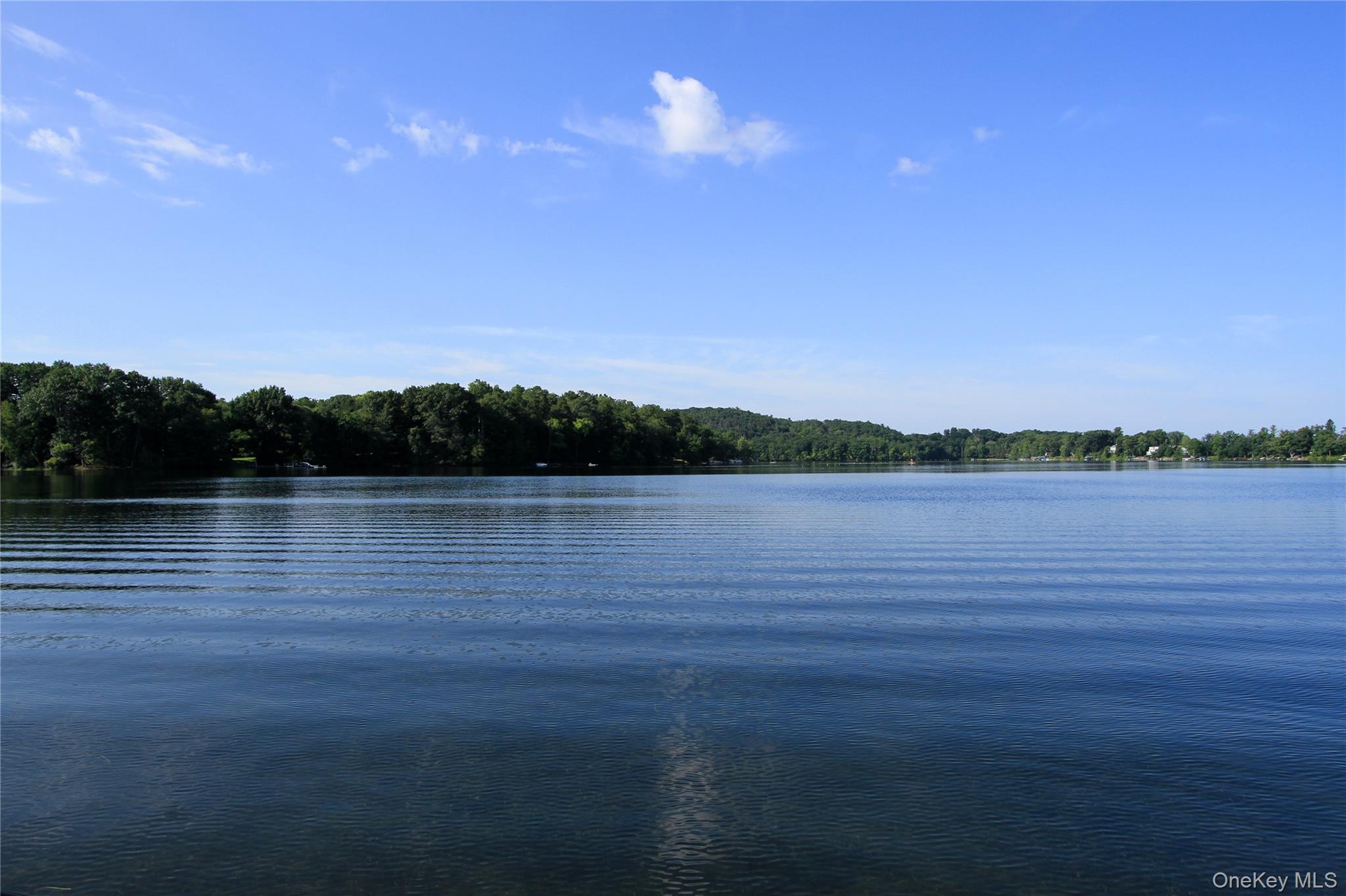 80 Lake Shore Acres Property Photo 47