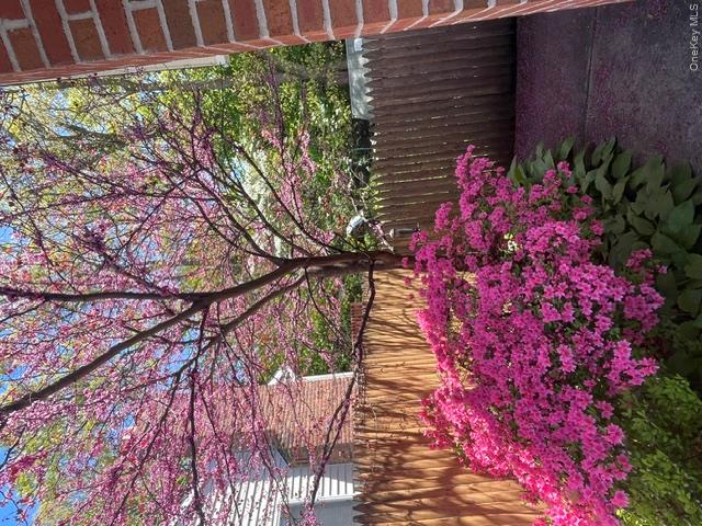 38 Montauk Road Property Photo 18