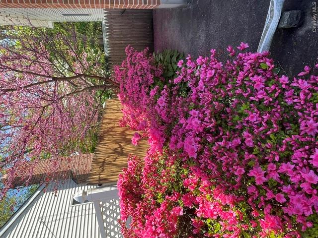 38 Montauk Road Property Photo 19