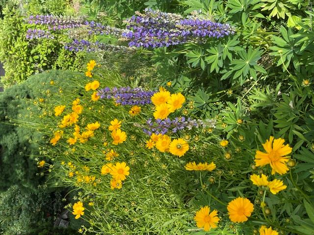38 Montauk Road Property Photo 25