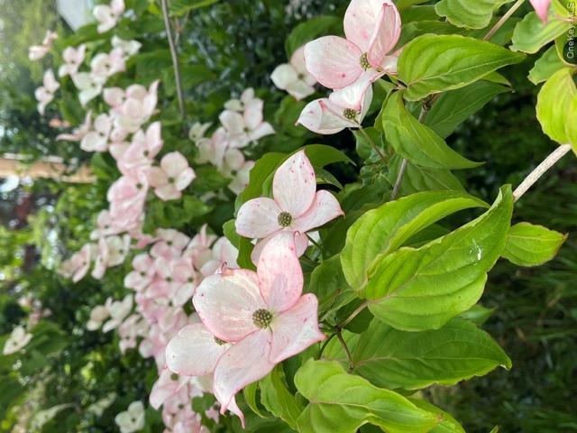 38 Montauk Road Property Photo 26