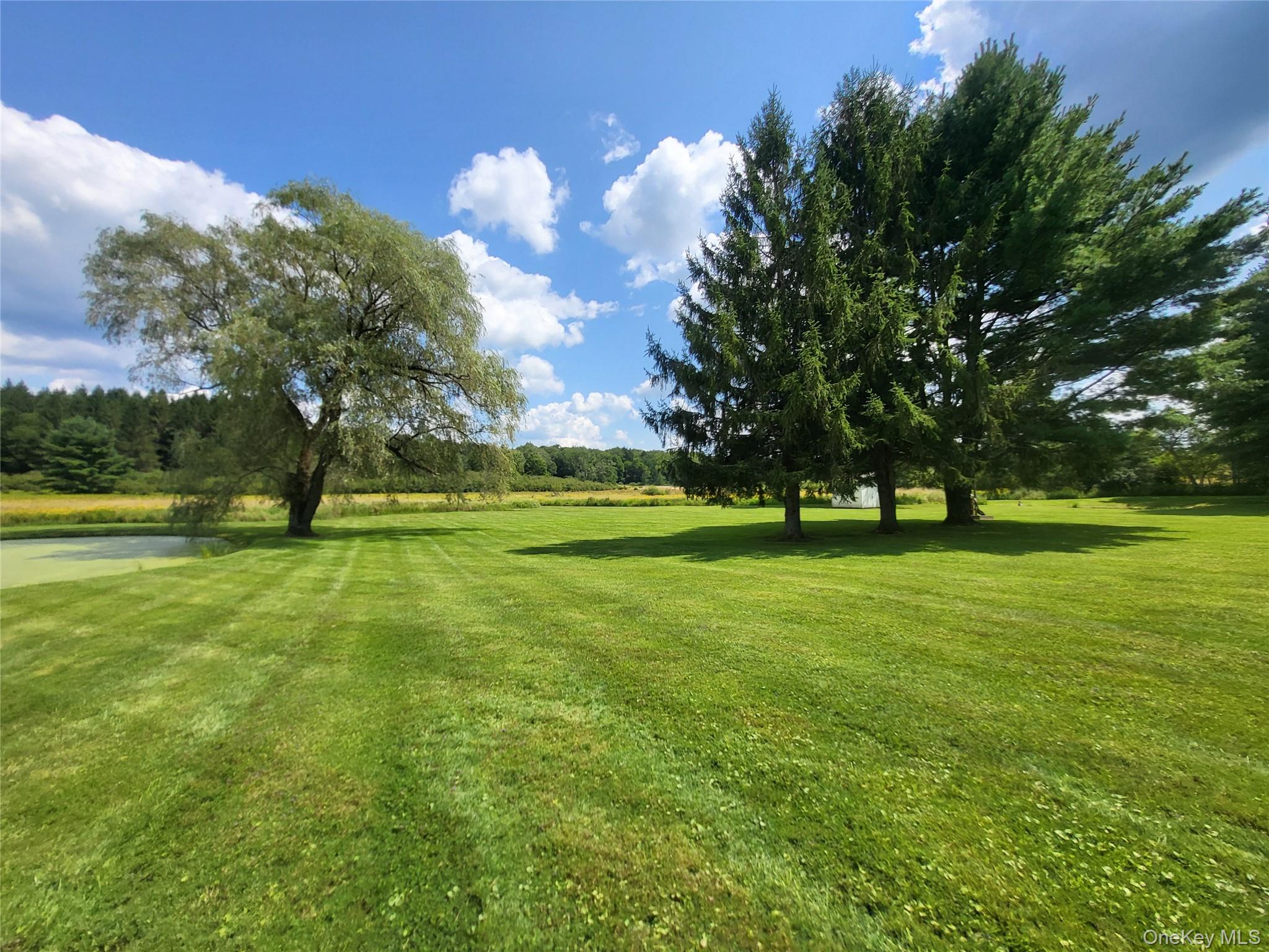 290 Behr Road Property Photo 35