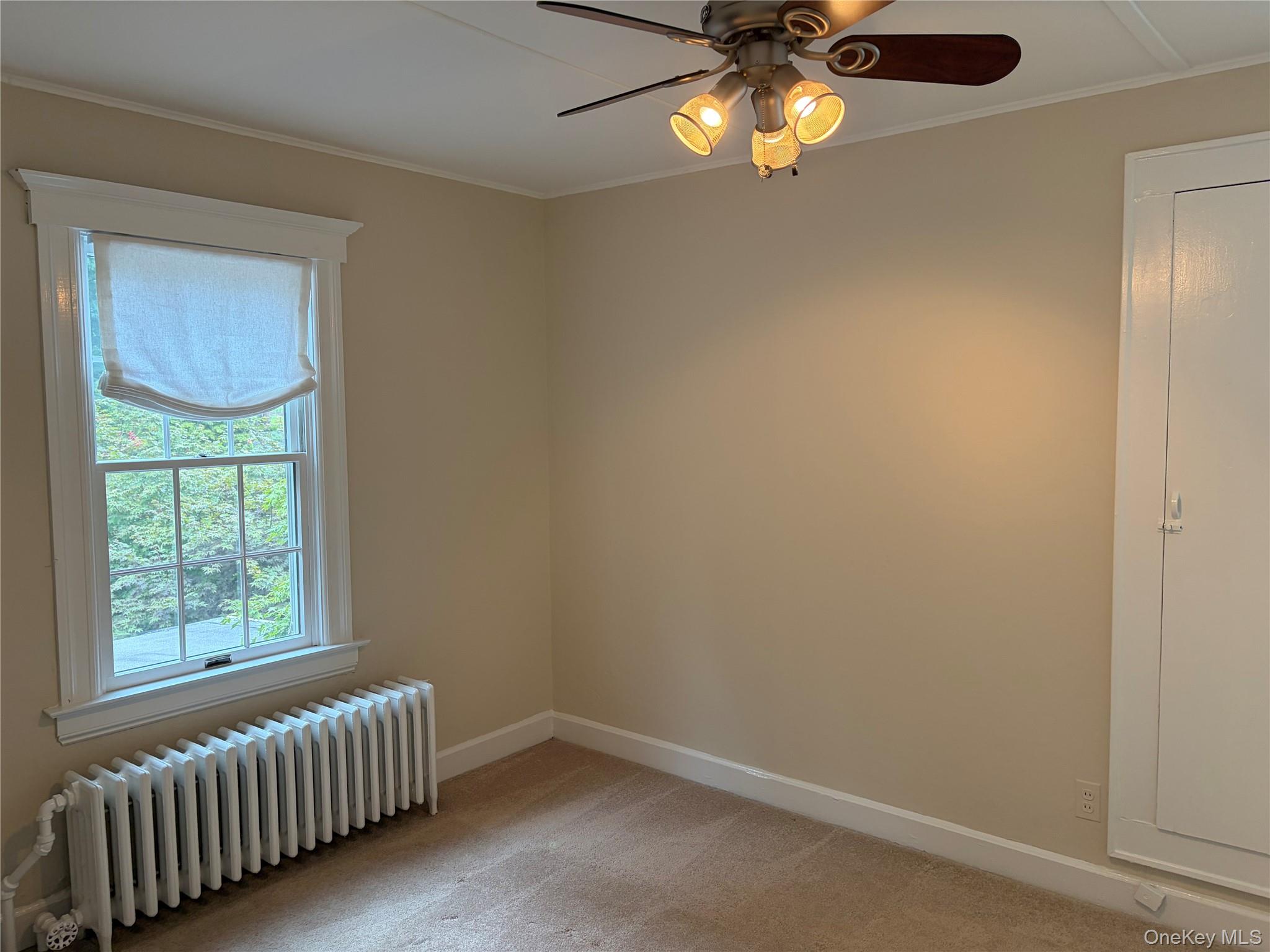 13 Radnor Avenue Property Photo 6