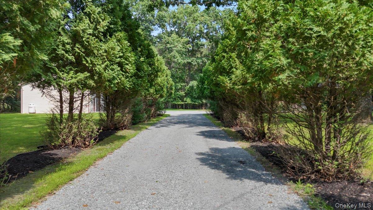 55 Somarelli Road Property Photo 8