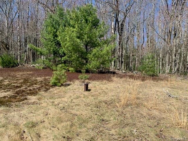 255 Wild Turnpike Property Photo 1