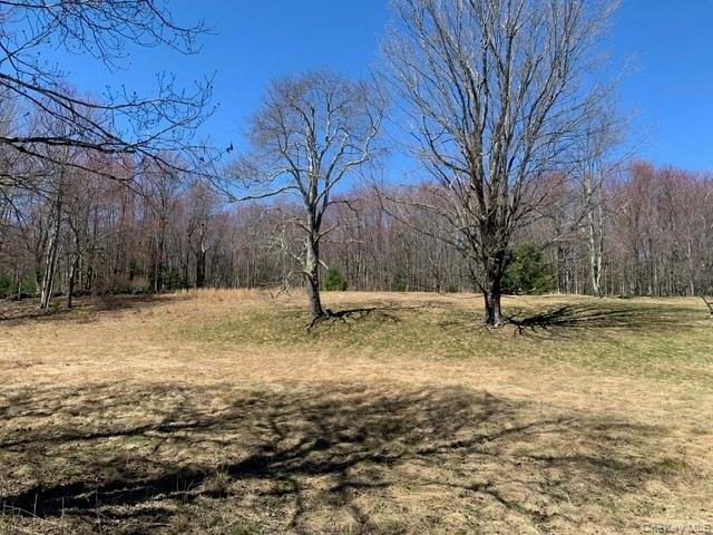 255 Wild Turnpike Property Photo 2