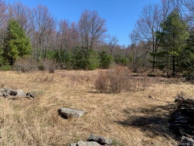 255 Wild Turnpike Property Photo 3