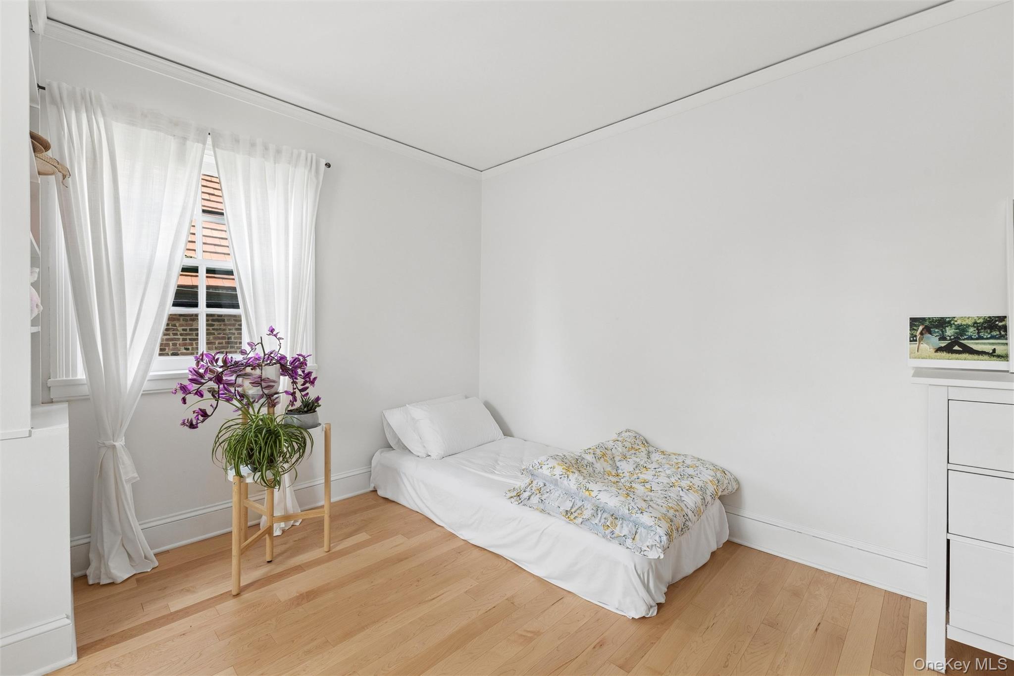 9 Whitson Street Property Photo 14