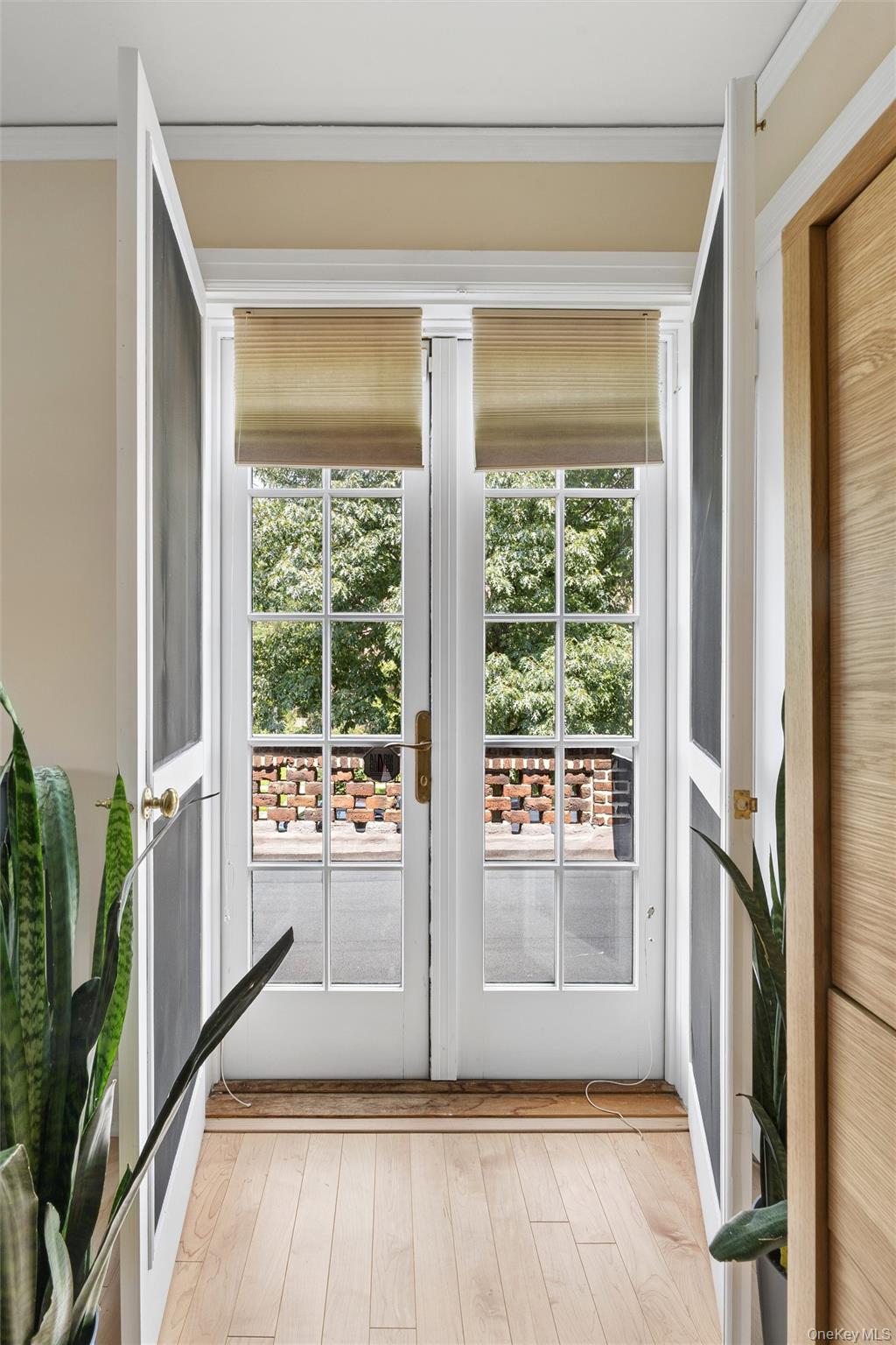 9 Whitson Street Property Photo 17