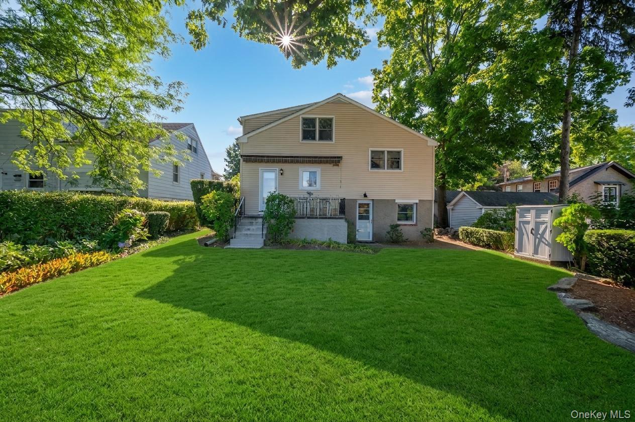 71 Ewart Street Property Photo 22