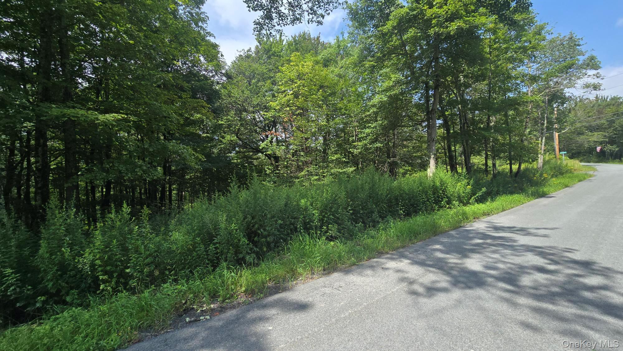 Knickerbocker Road Property Photo 2