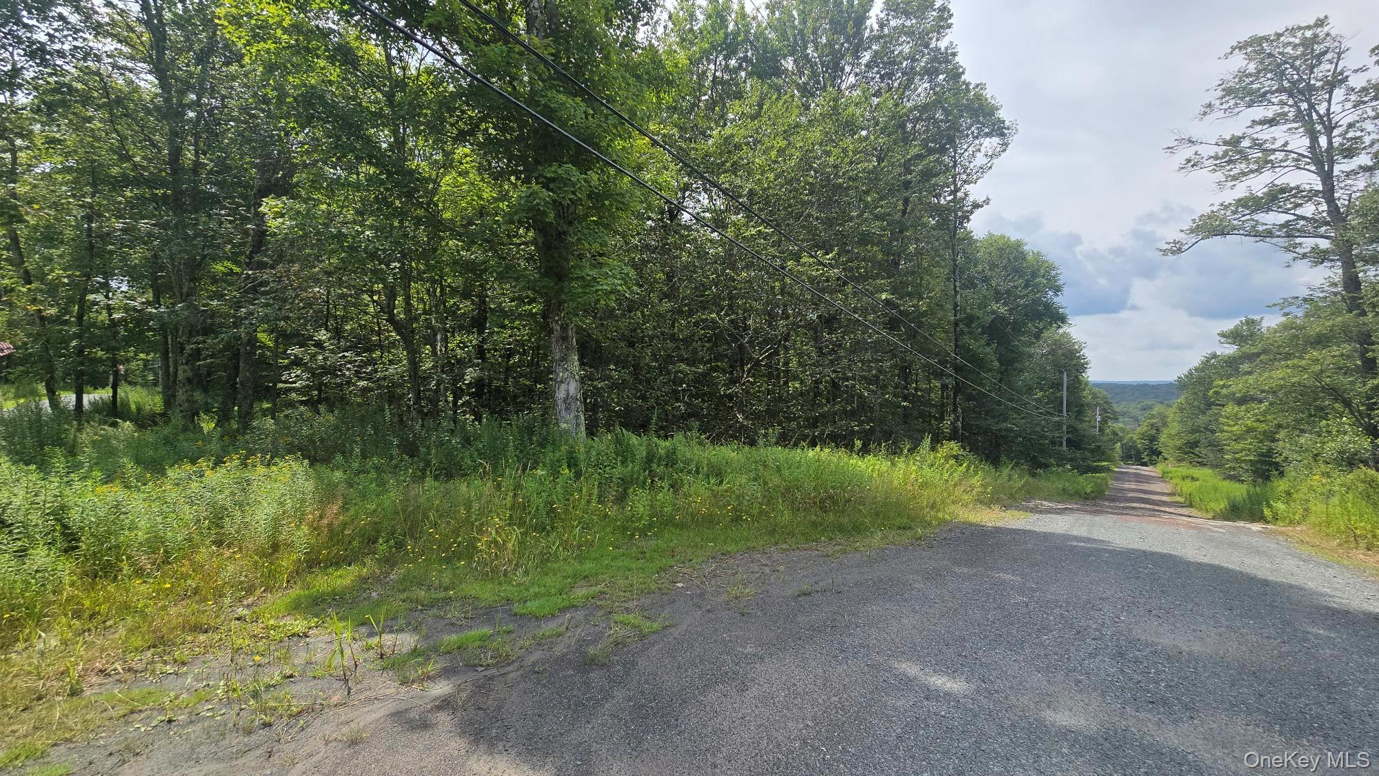 Knickerbocker Road Property Photo 3