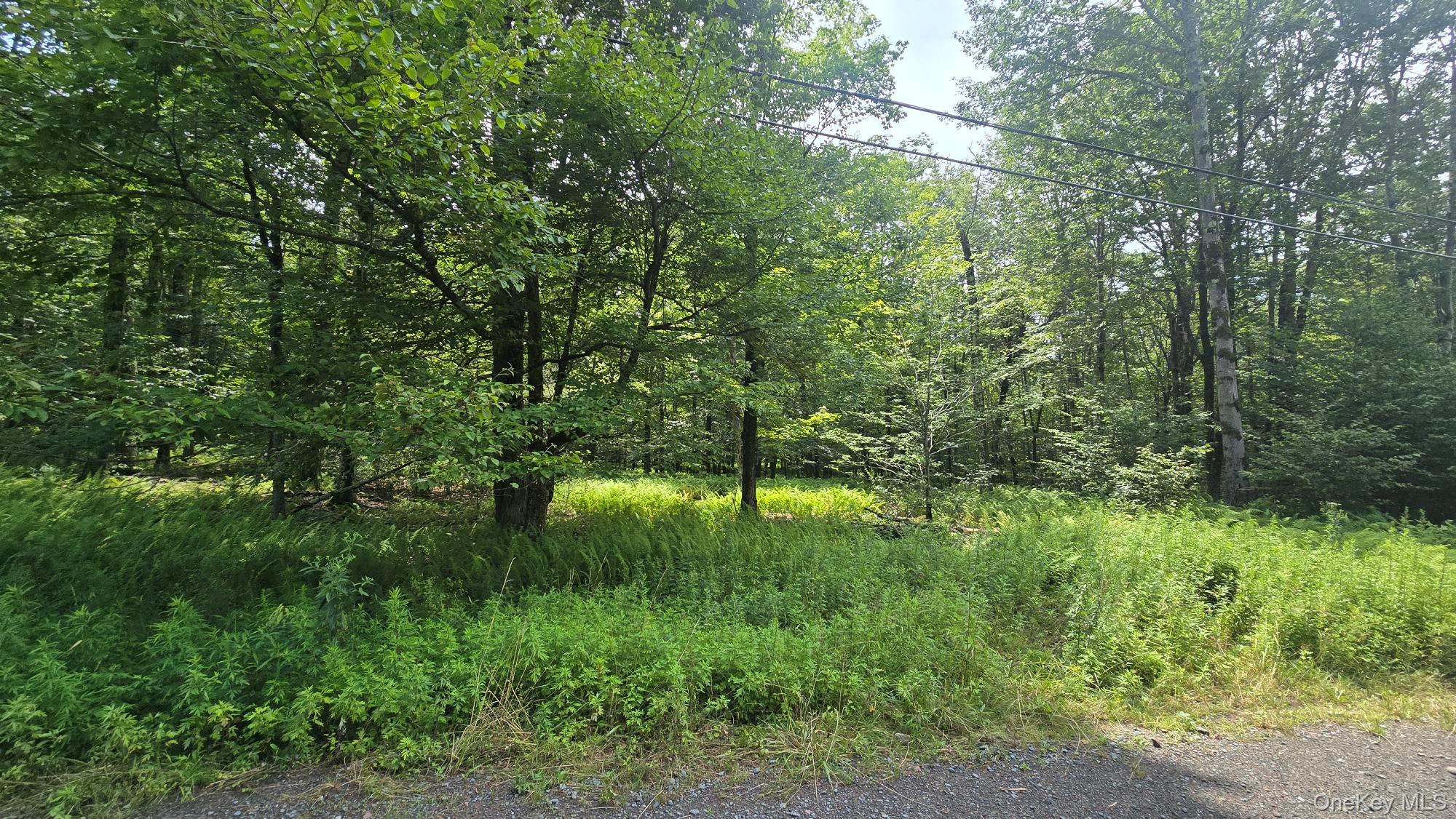 Knickerbocker Road Property Photo 4