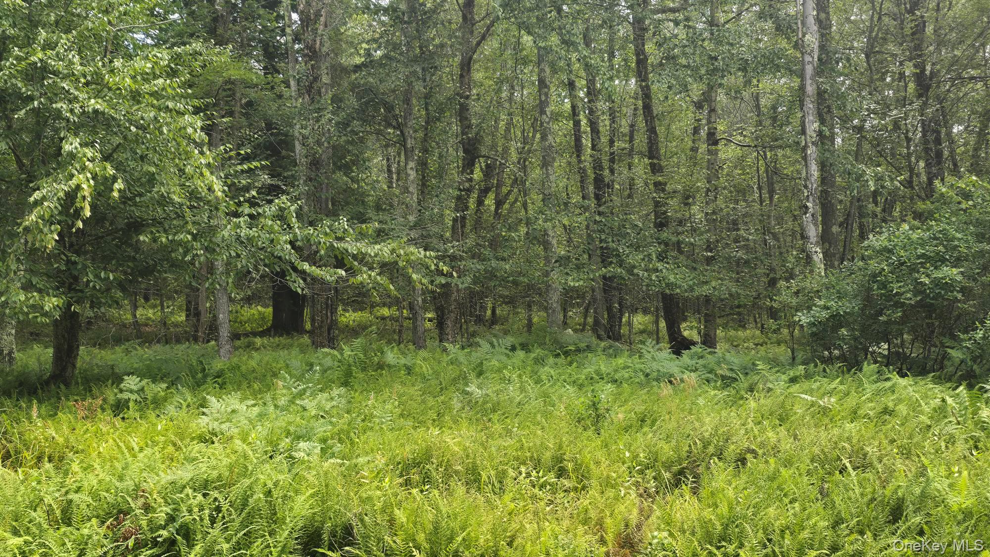 Knickerbocker Road Property Photo 6
