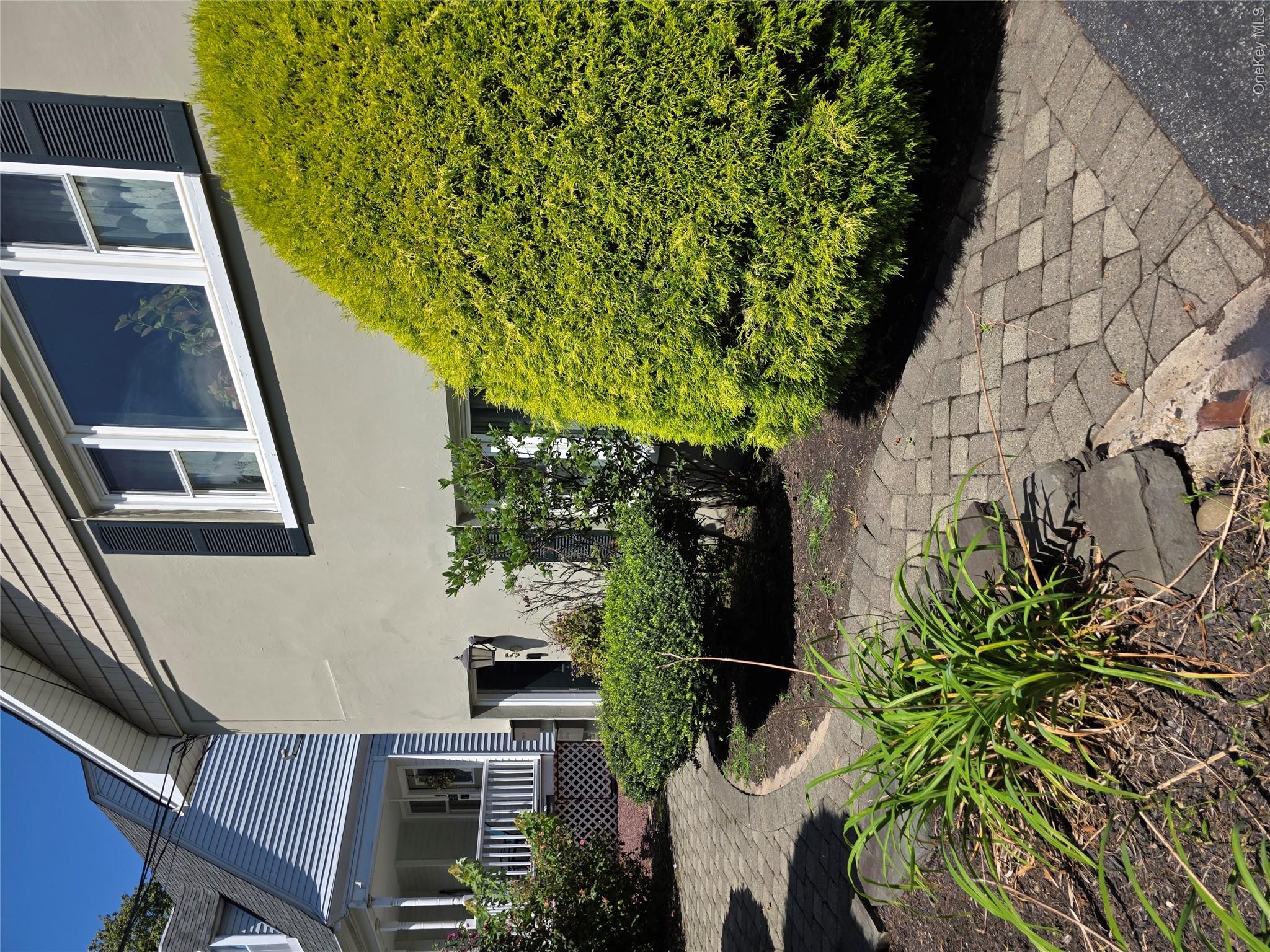 50 Elysian Avenue Property Photo 2