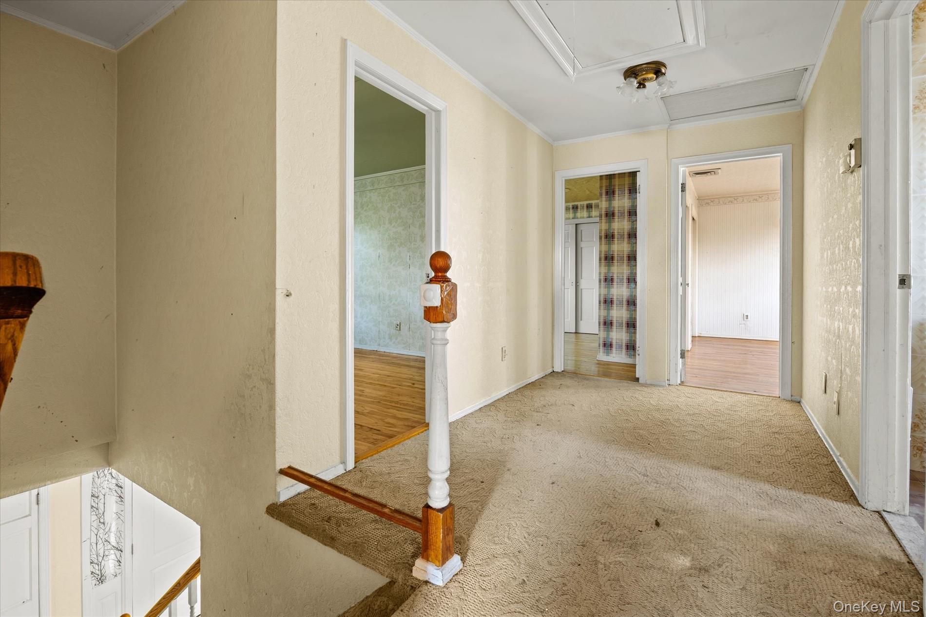 251 Perkins Avenue Property Photo 22