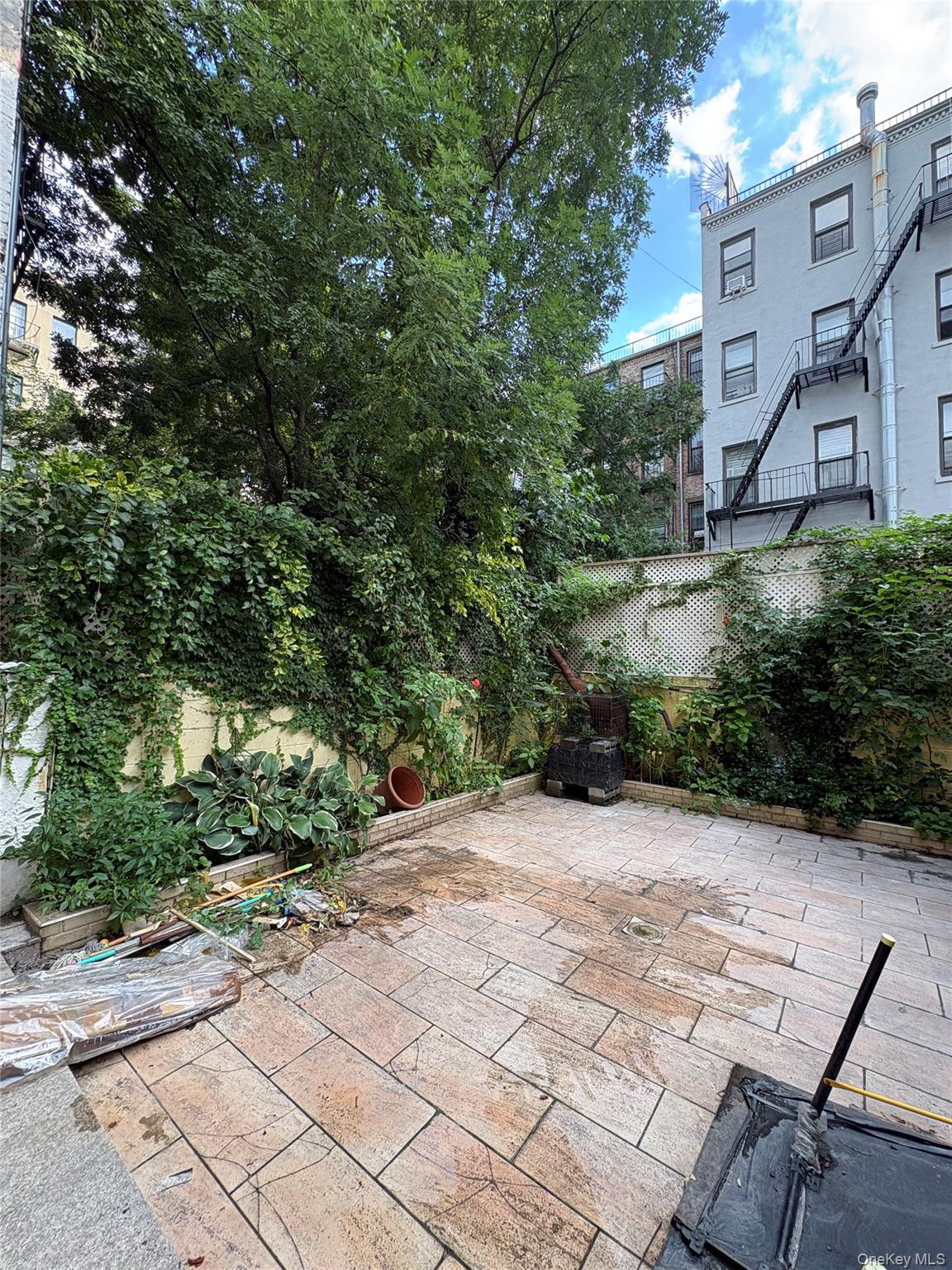 344 E 120th Street Property Photo 6