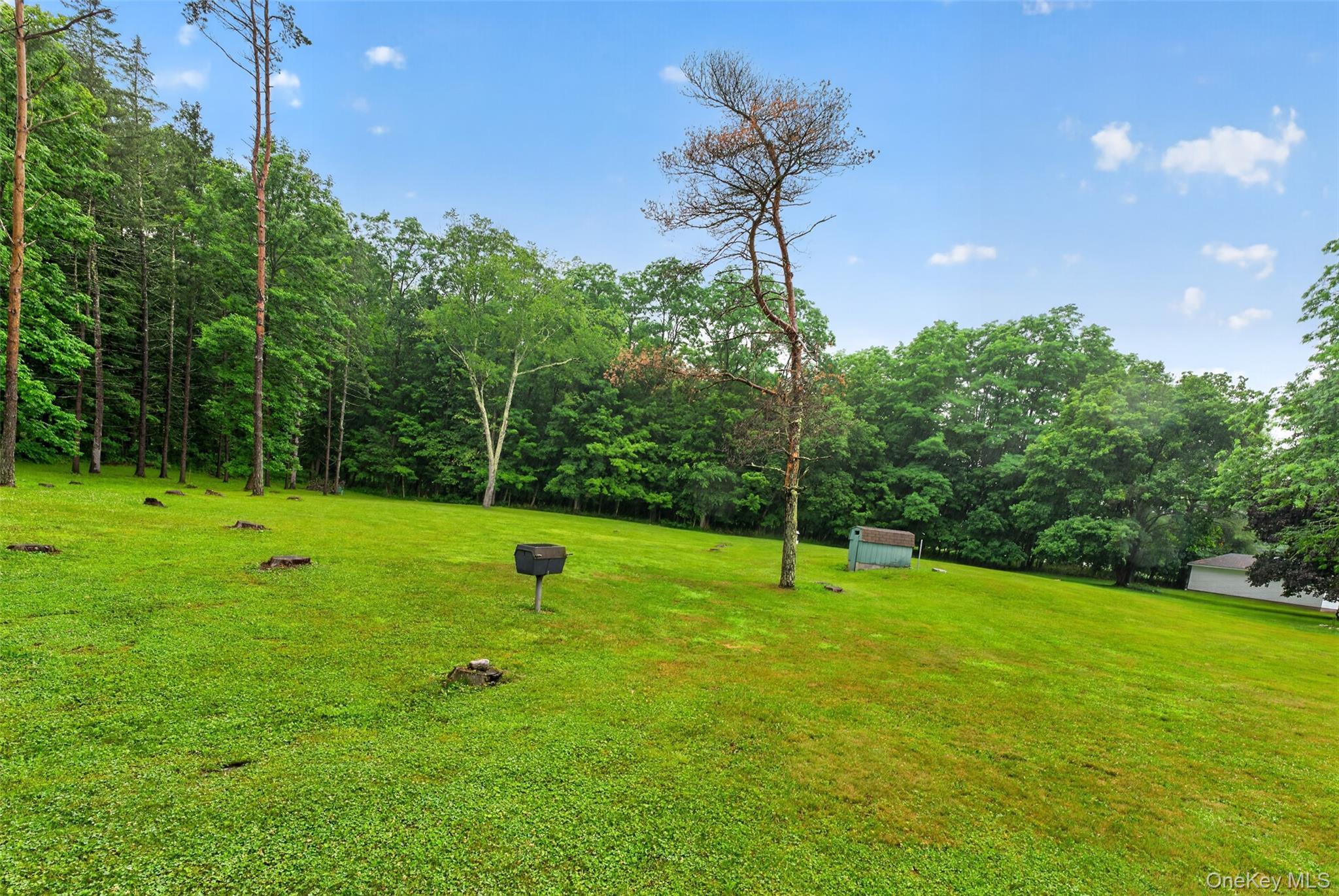329 Route 27 Property Photo 39