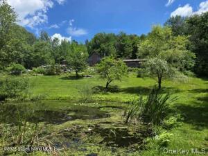 195 Haynes Hollow Property Photo 34
