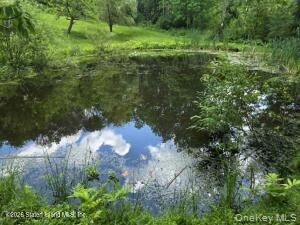 195 Haynes Hollow Property Photo 35