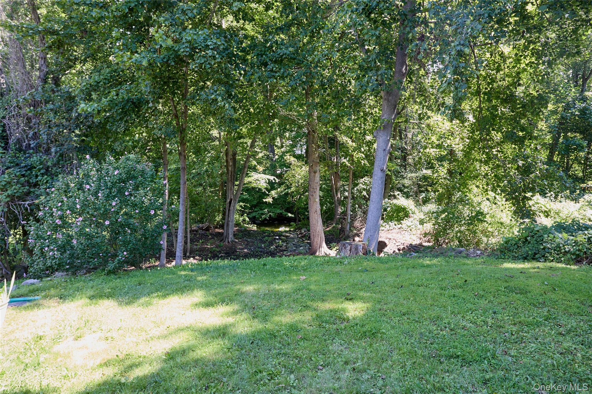 28 Brewster Drive Property Photo 42