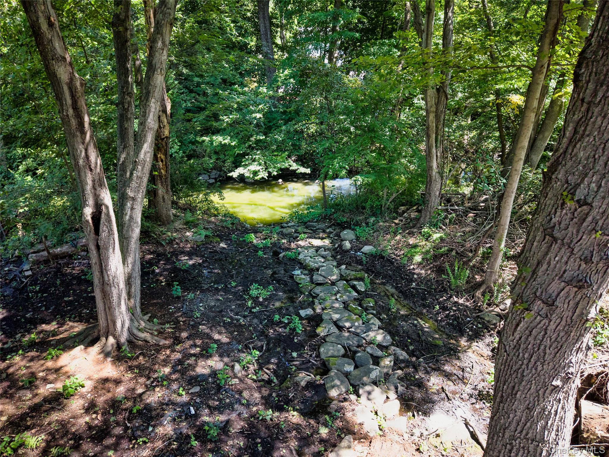 28 Brewster Drive Property Photo 43