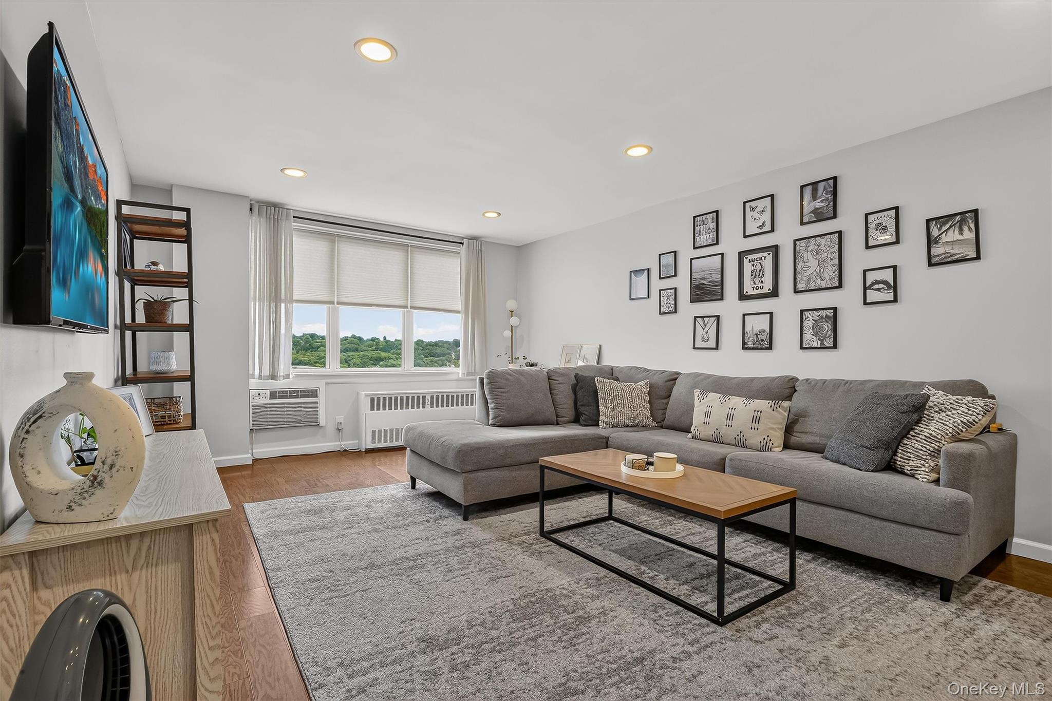 25 Franklin Avenue 6c Property Photo 14