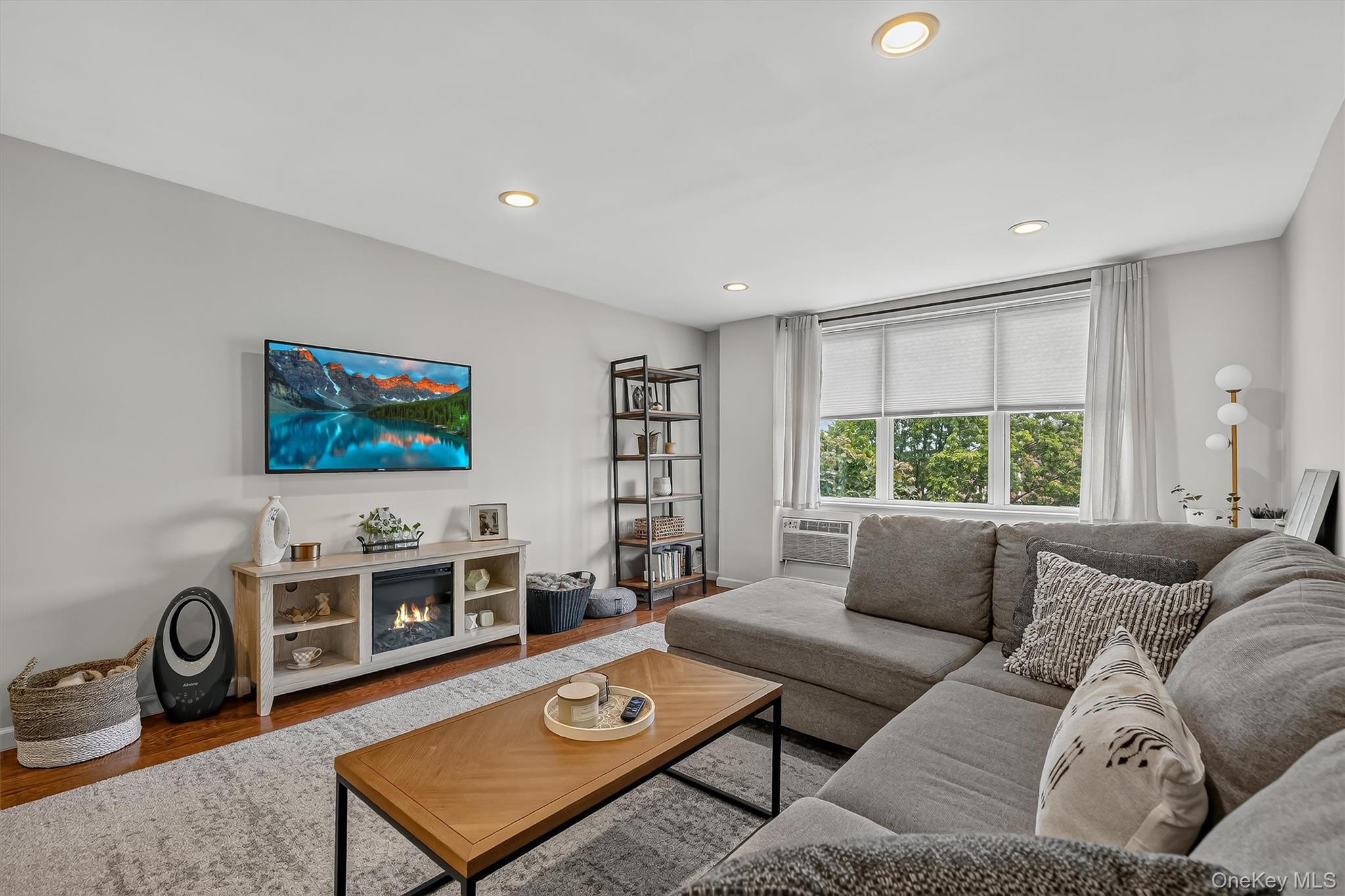 25 Franklin Avenue 6c Property Photo 18